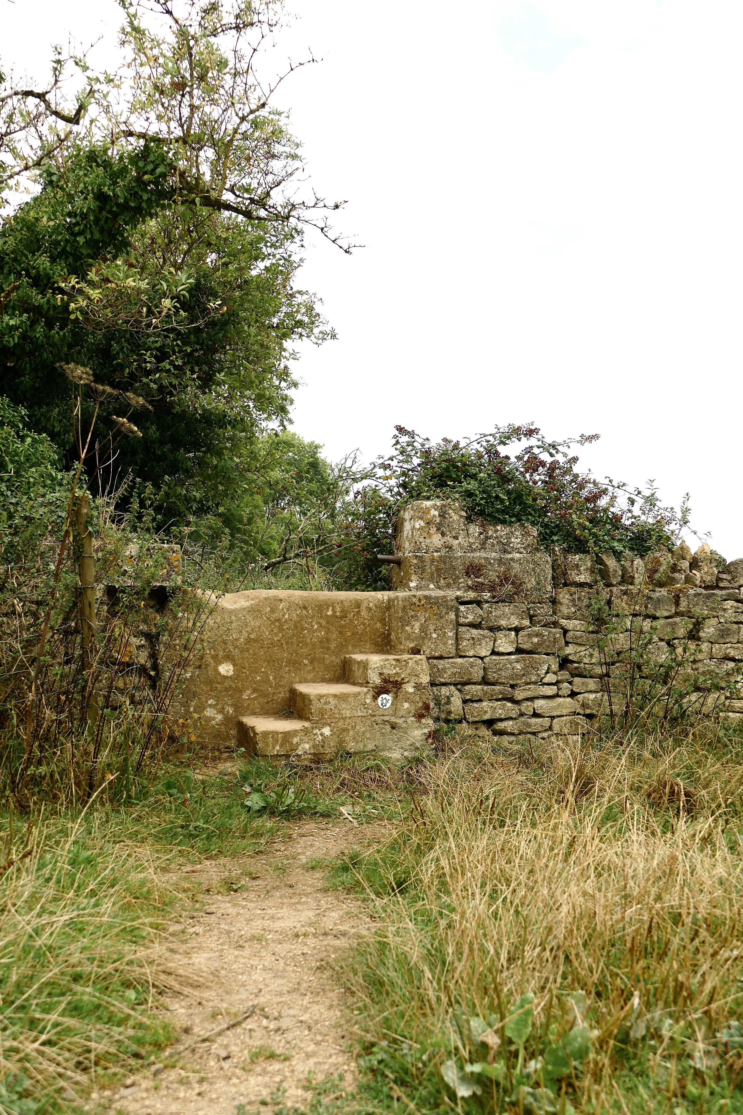 P2090236.JPG
