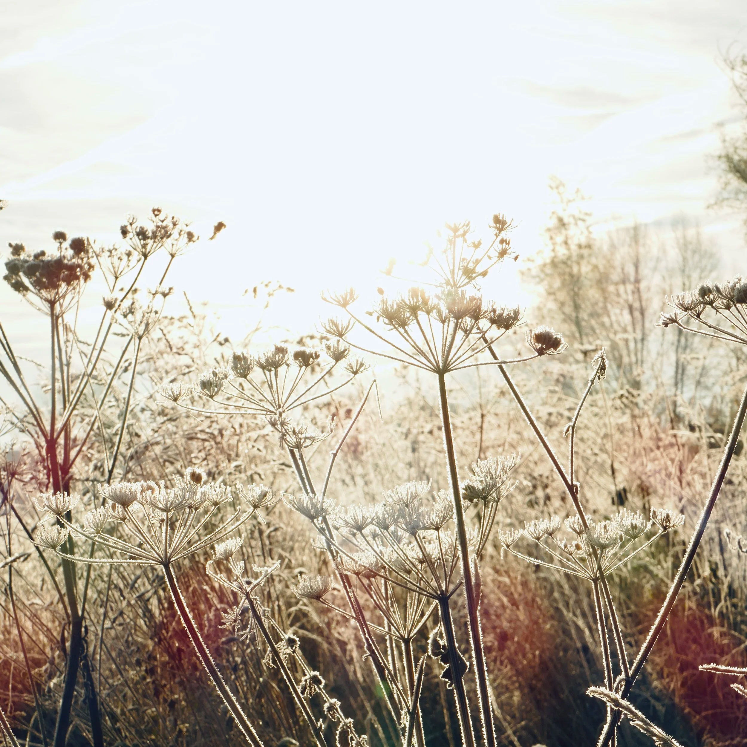 Enchanting and quiet November