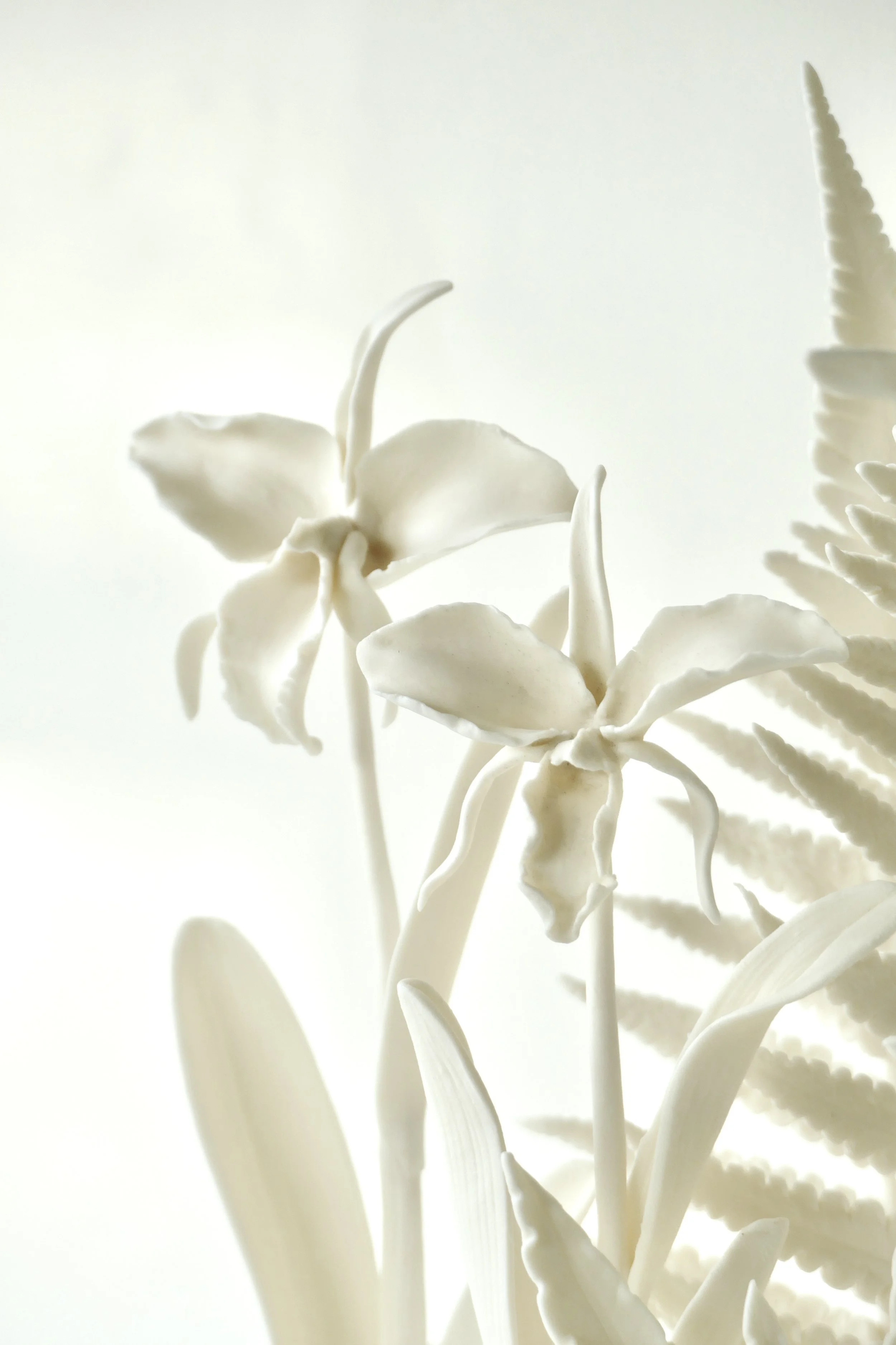 Solo exposition at Gallery Terra in Delft (NL) 