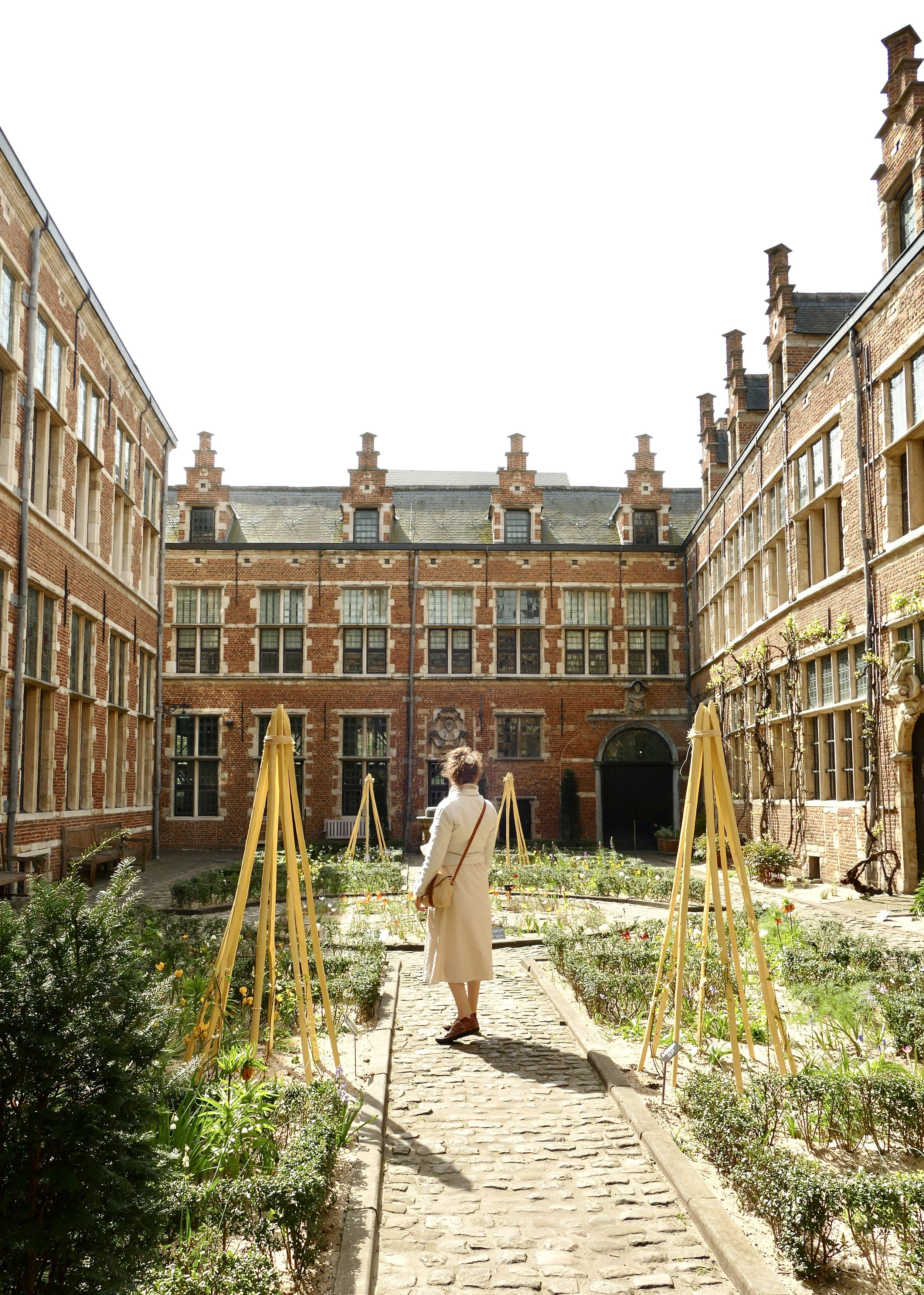 Celebrating 500 years of the botanist Carolus Clusius