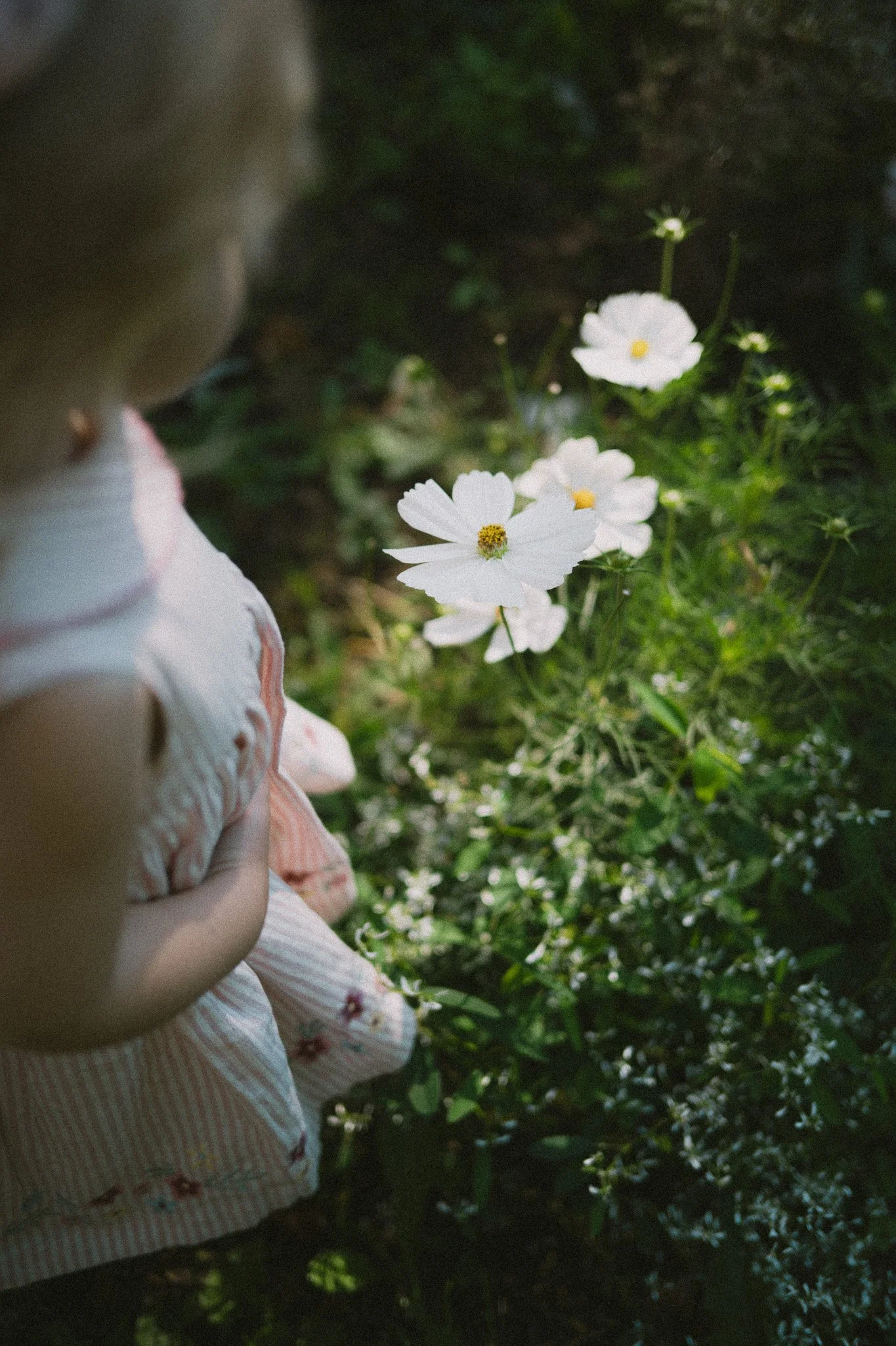 Barn som tittar på vita blomster i en grön trädgård