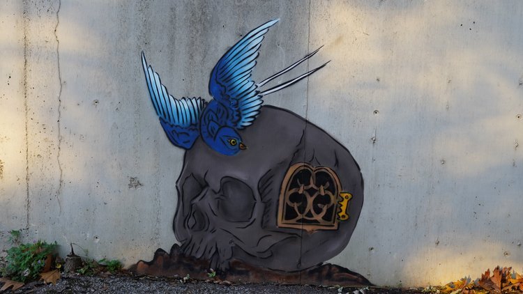 

Muralist: Registered Artist / Photographer: Shira Evergreen
