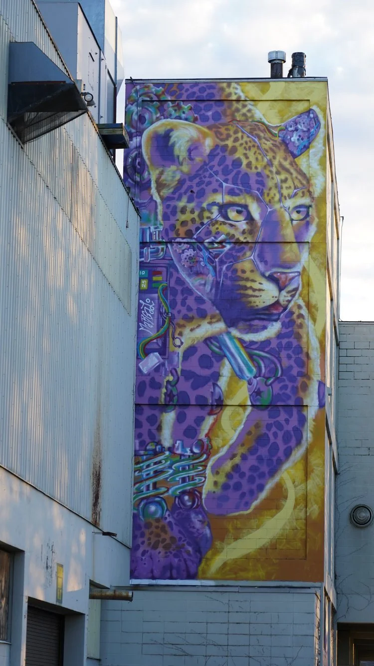 

Muralist: Margalo / Photographer: Shira Evergreen
