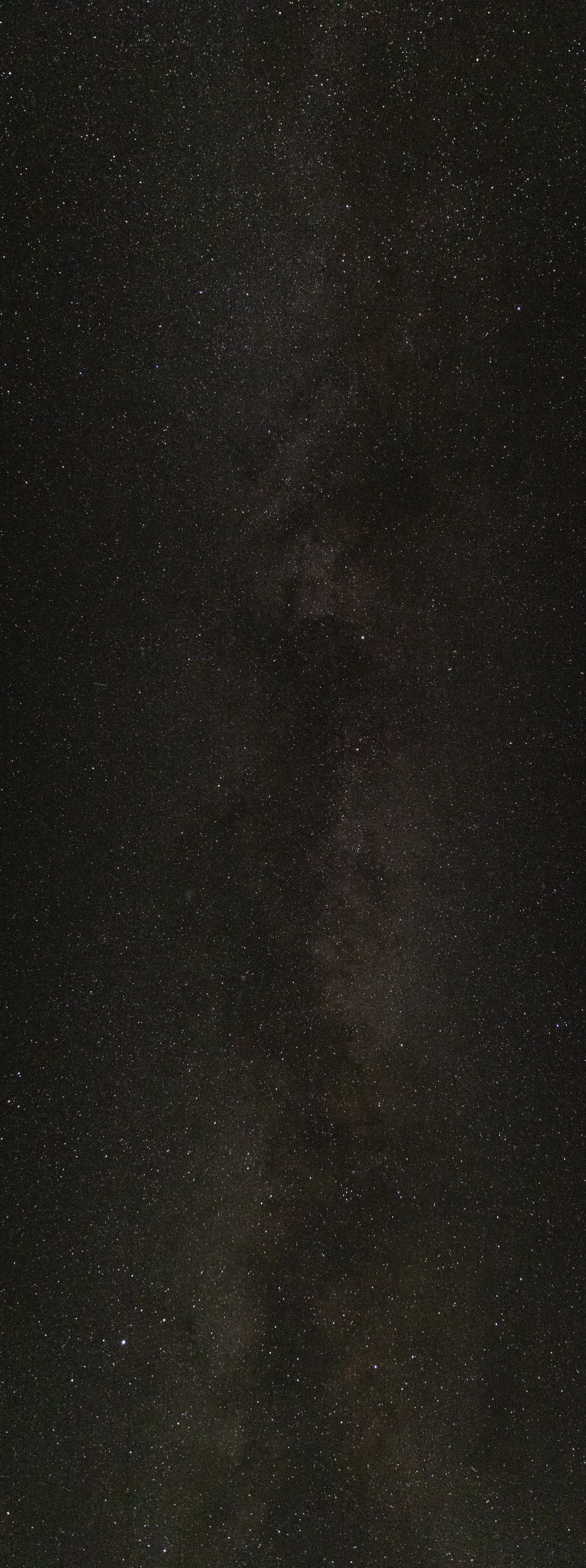 431A5254-2.jpg
