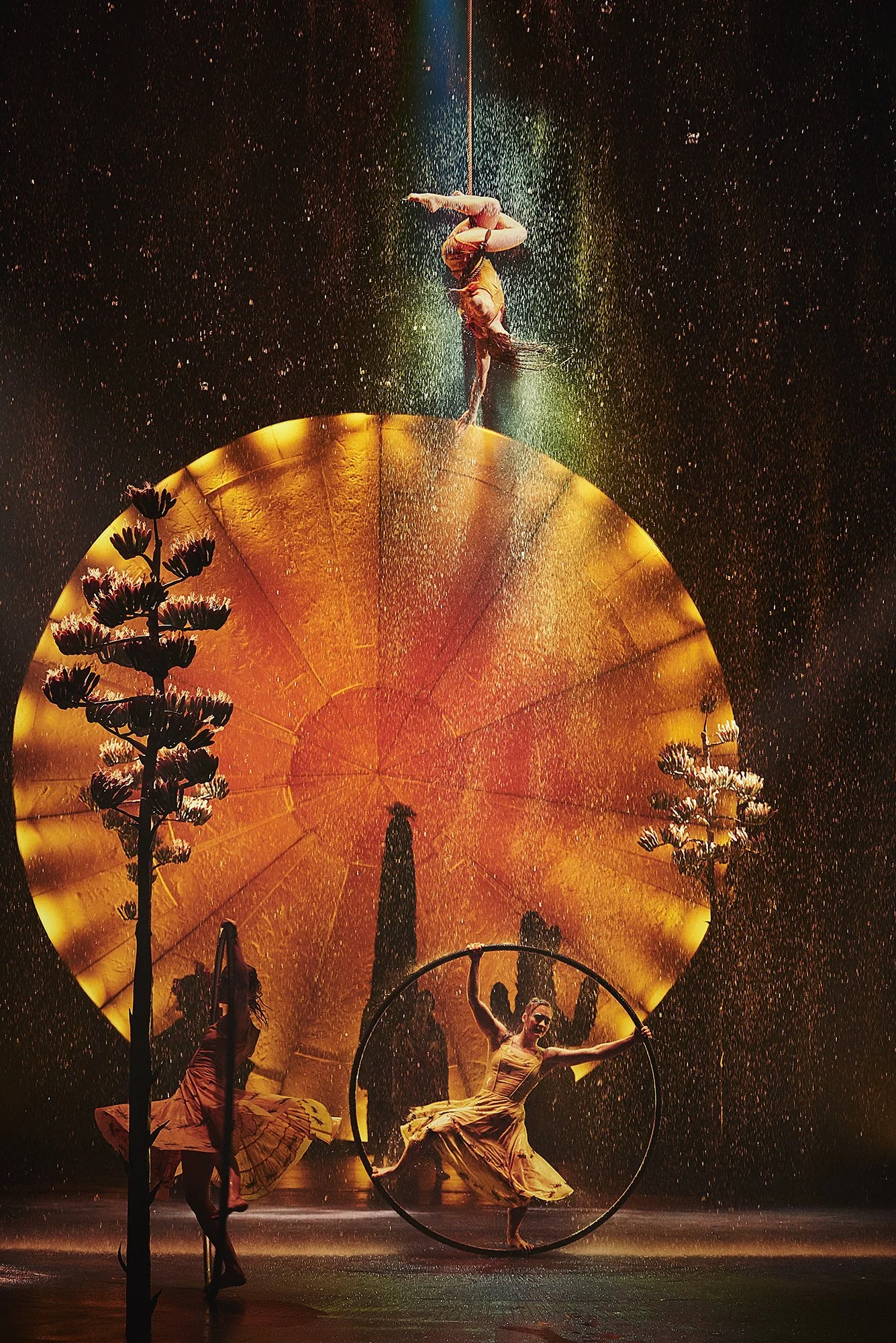 CIRQUE DU SOLEIL_279_LRTSF.jpg