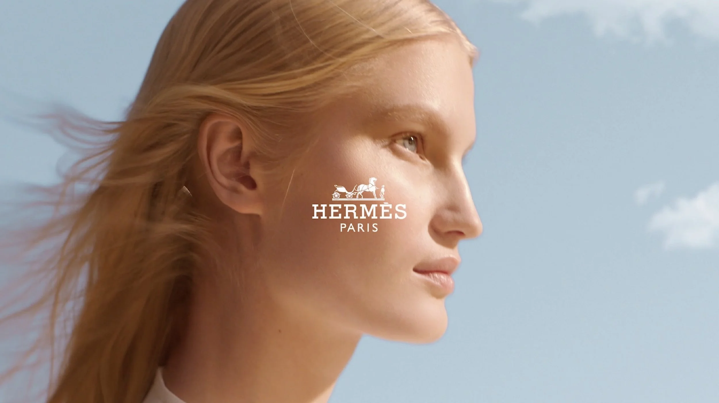 Hermès "Plein Air"