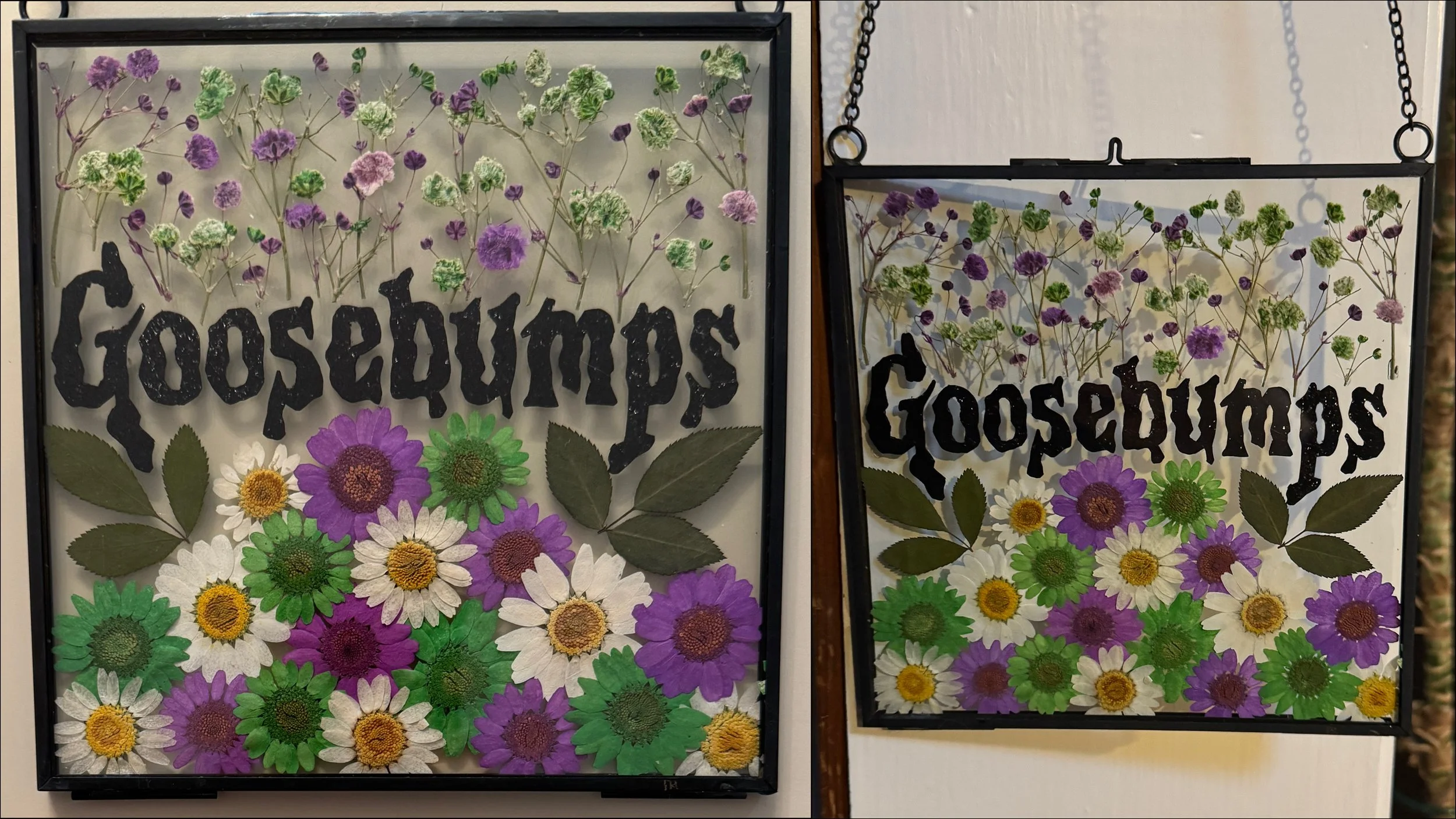 12-16-25 - Goosebumps 06.JPEG