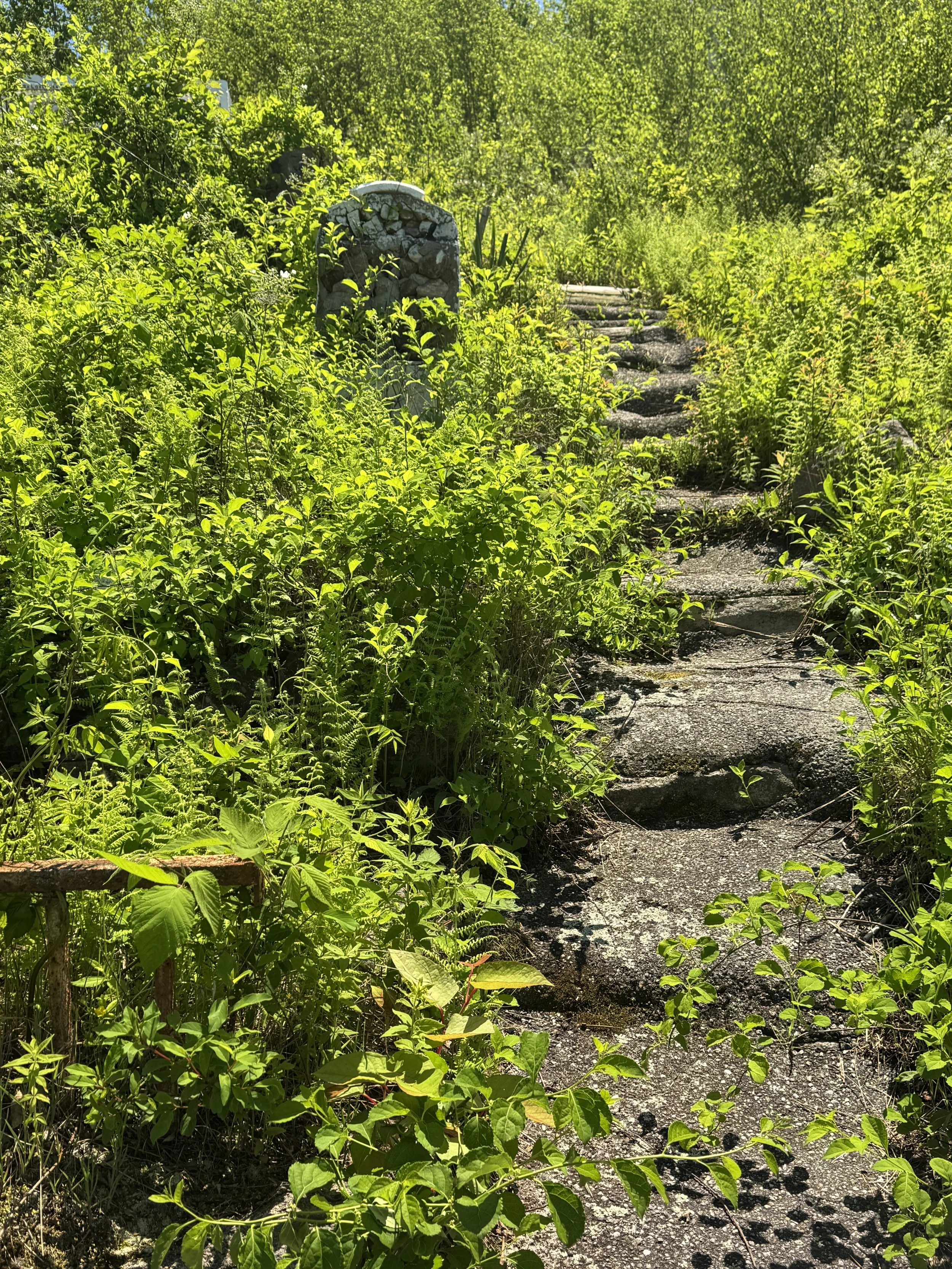 05-19-25 - Holyland 36.JPEG