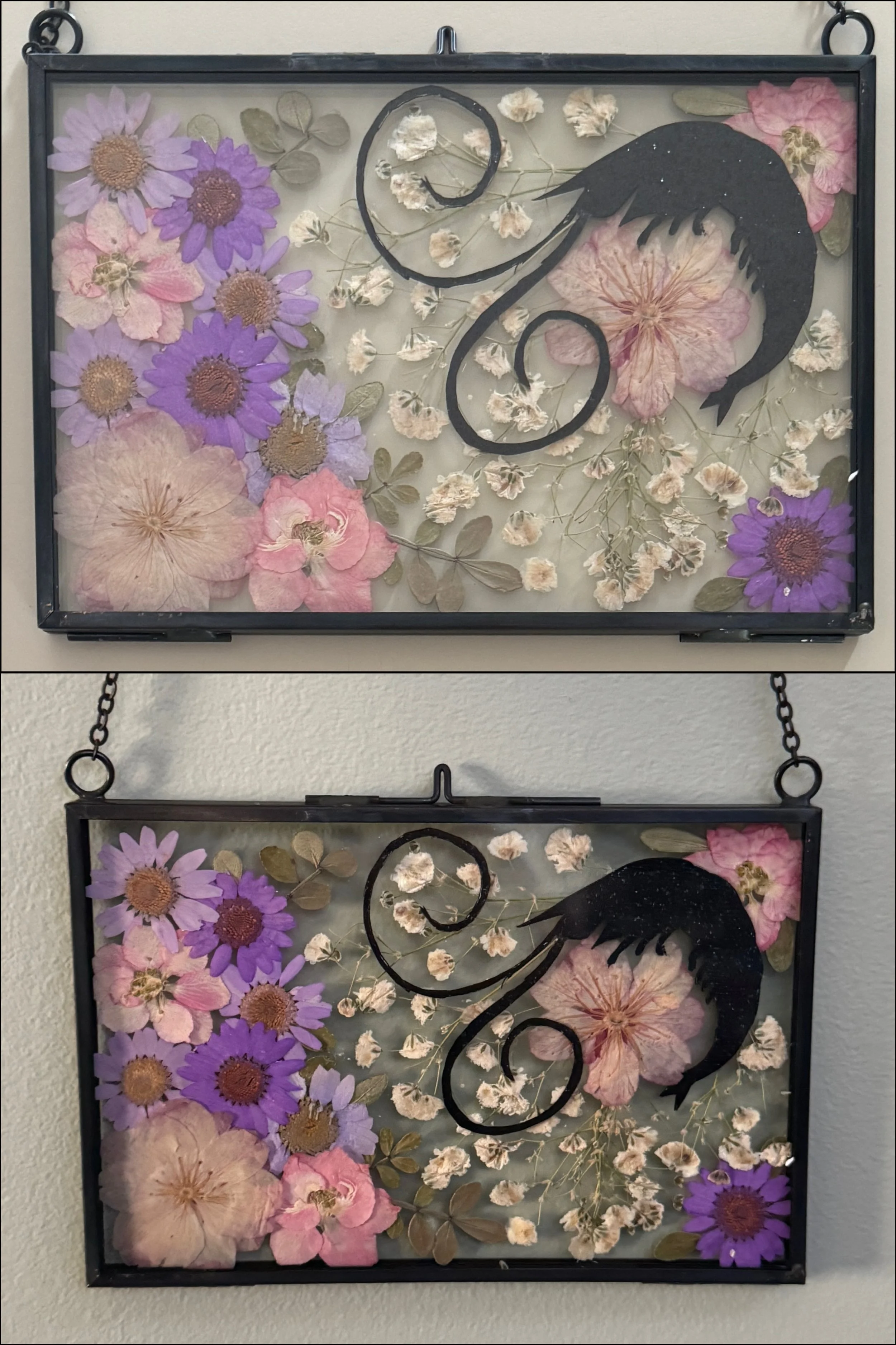 12-20-25 - Shrimp for Crystal 06.jpeg