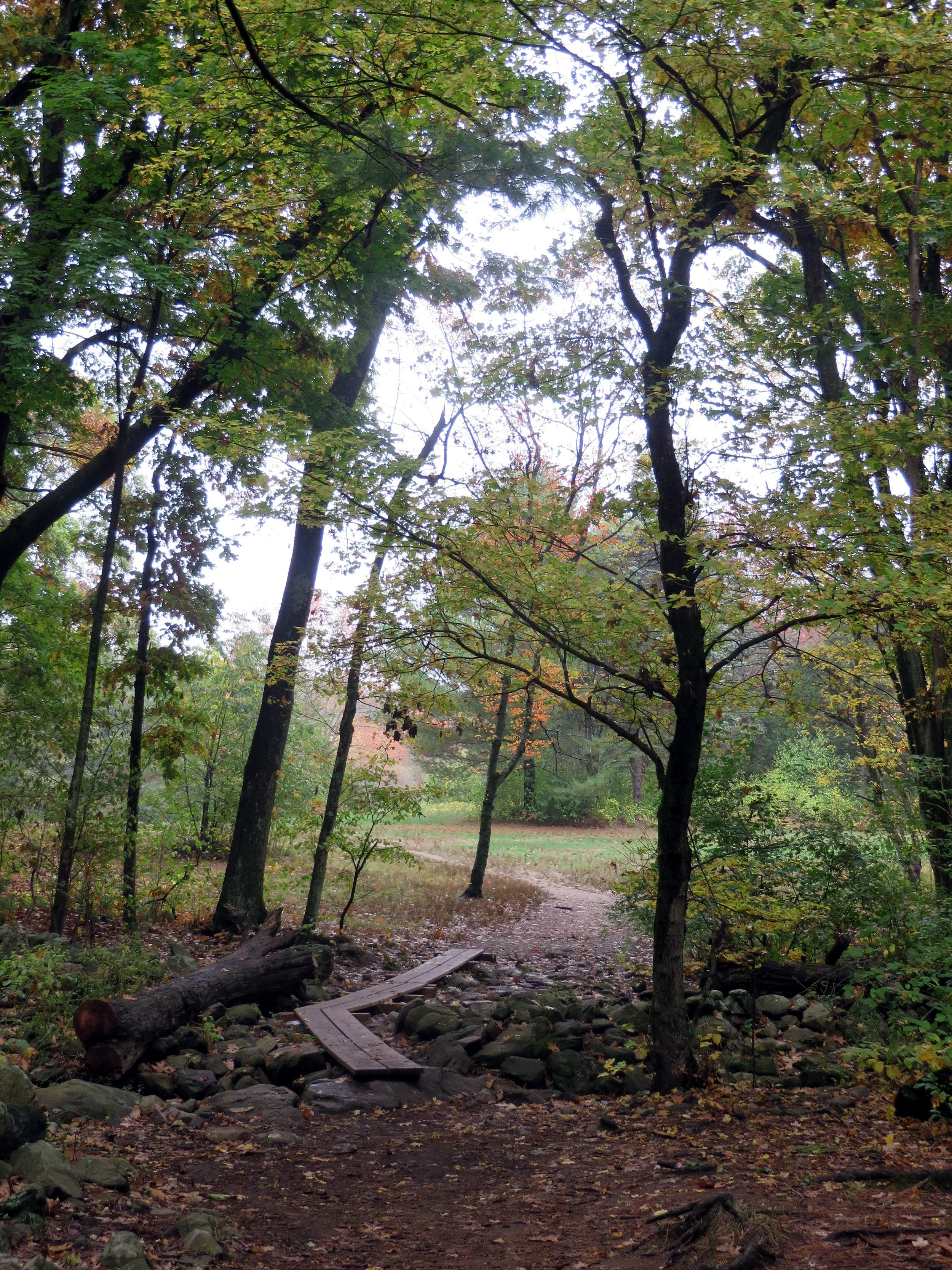 10-18-16 - Path 01.jpg