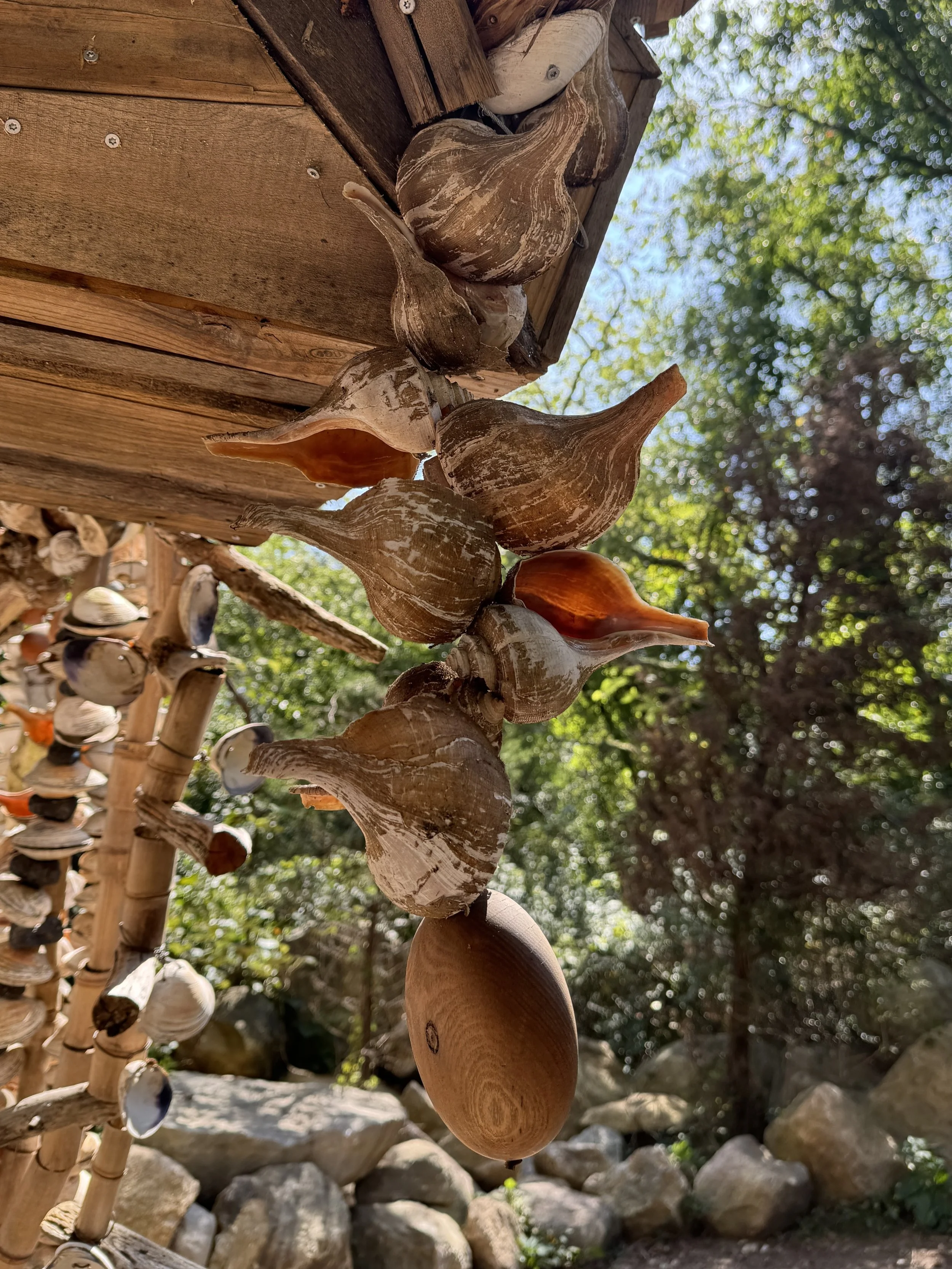 08-31-24 - Ninigret Park - Shells 07.JPEG