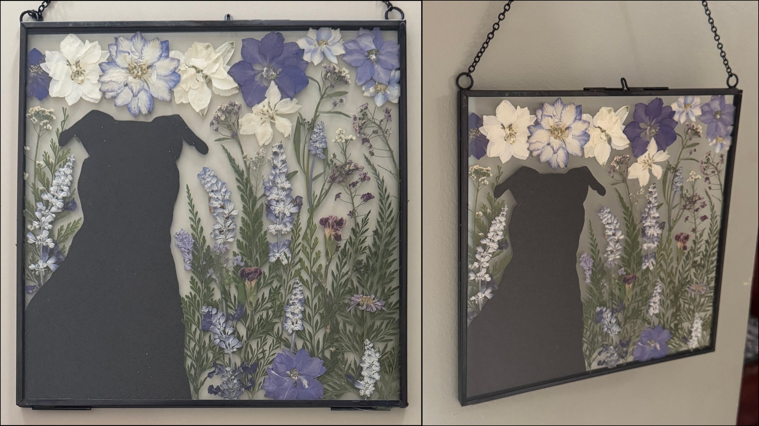 01-03-26 - Dog for Michelle 04.JPEG