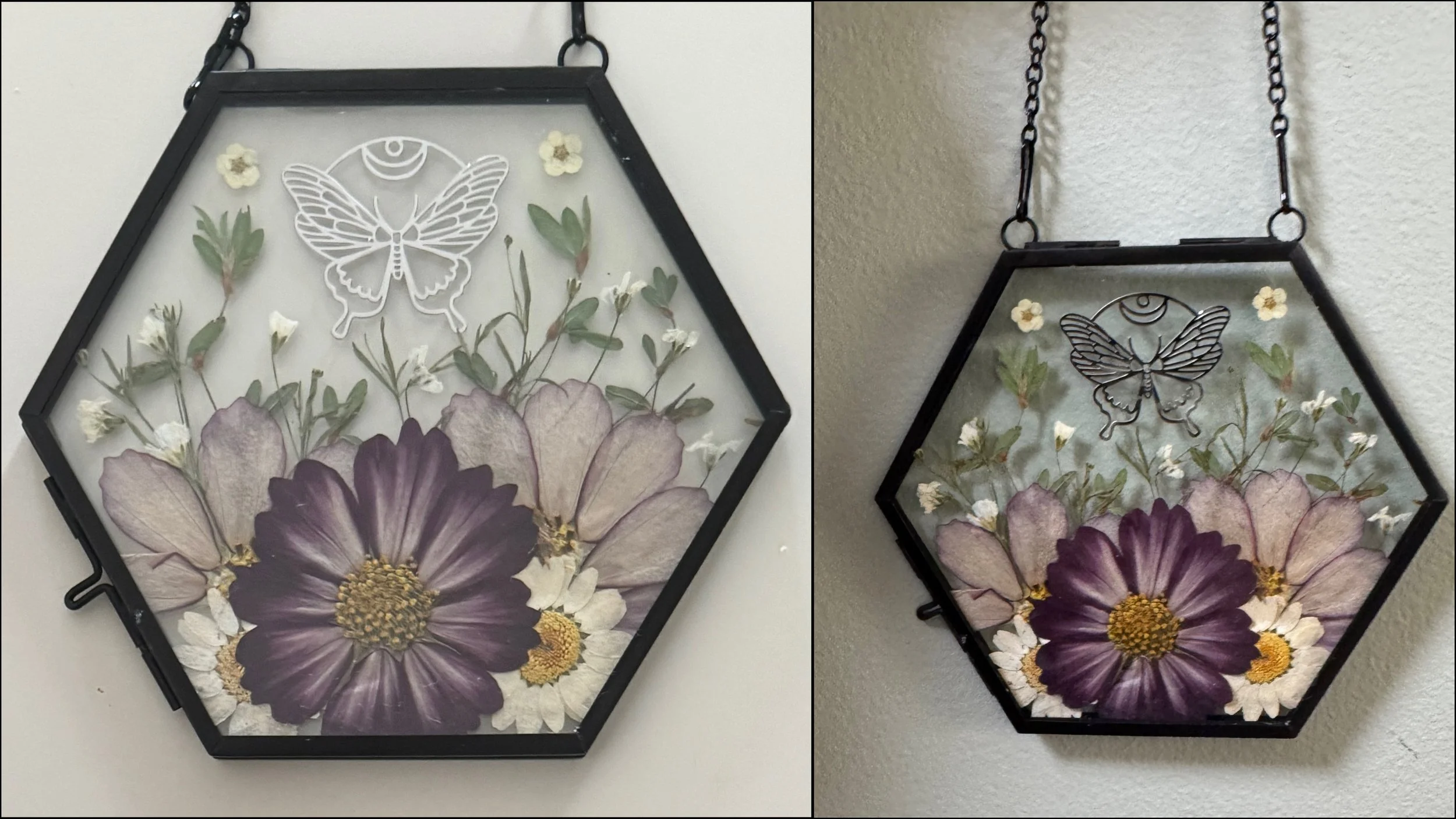 12-27-25 - Hex Butterfly 10.jpeg