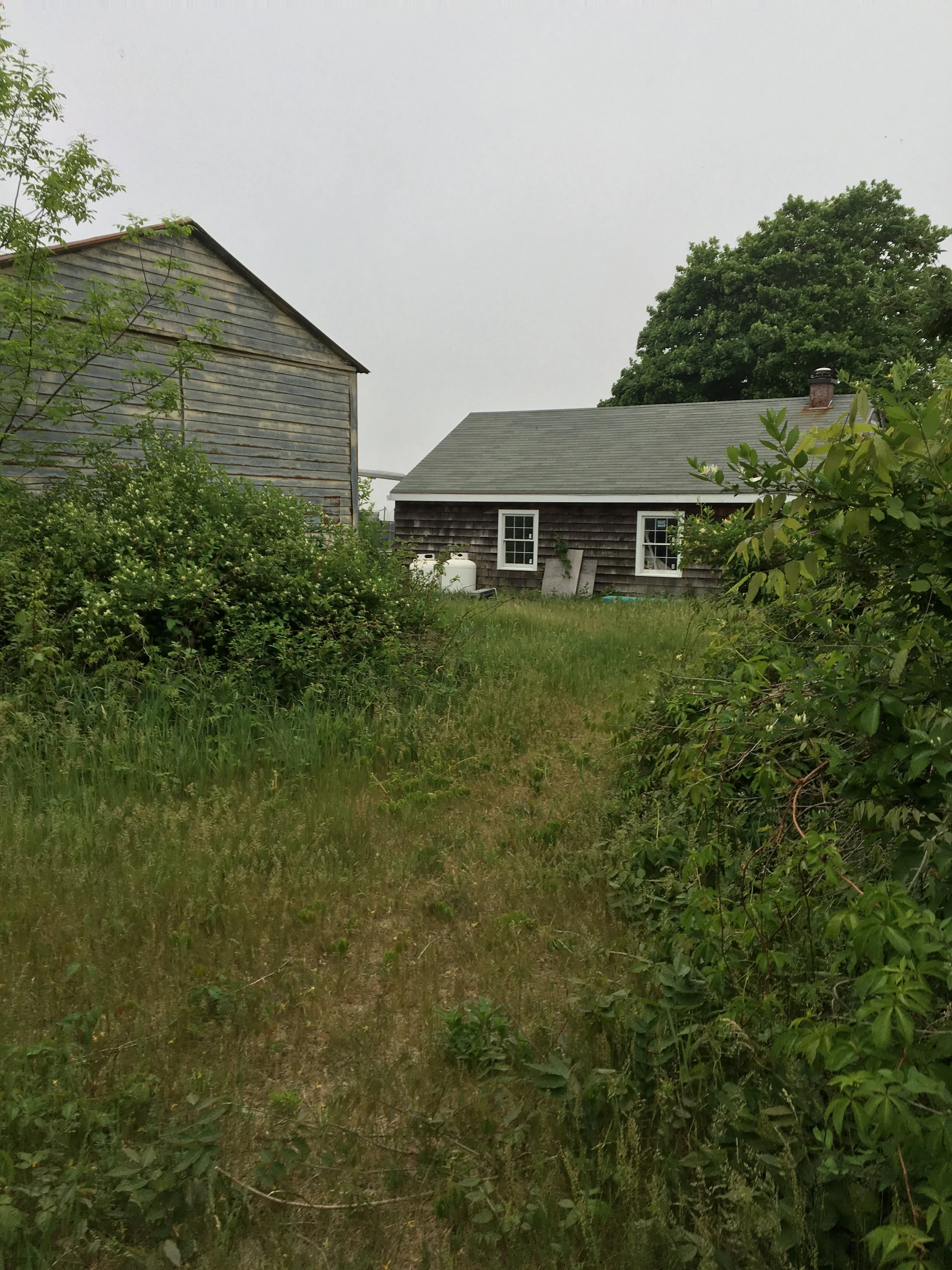 05-29-16 - Dock - Building 04.JPG