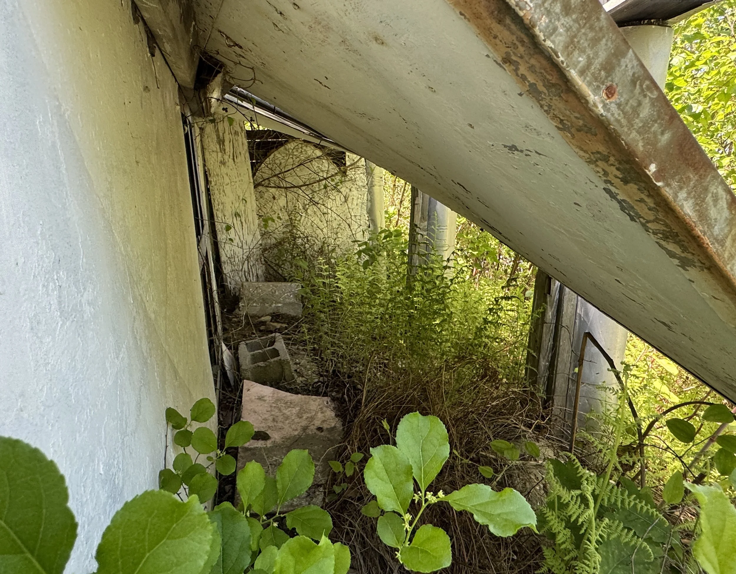 05-19-25 - Holyland 57.JPEG