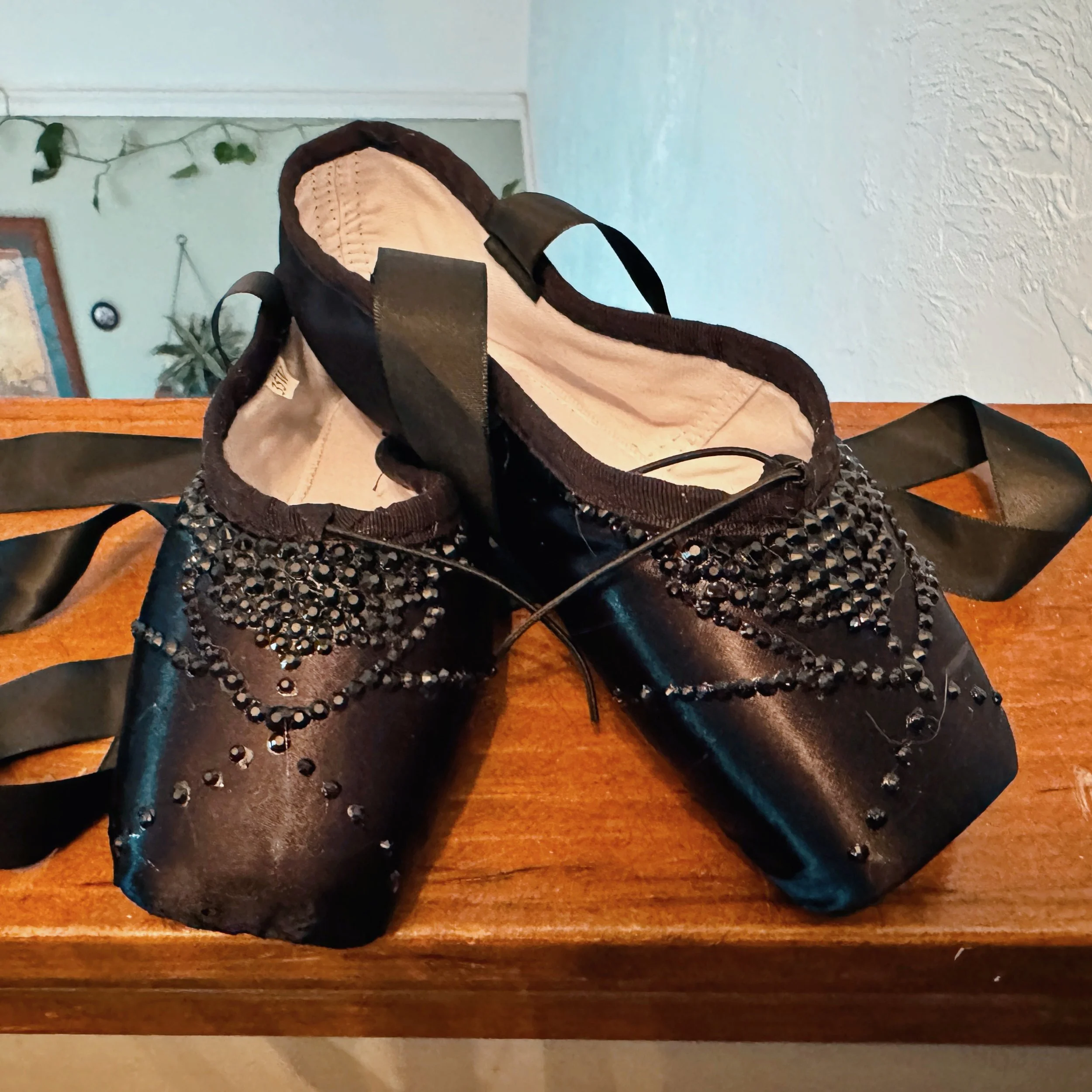 03-12-26 - Rhinestoned pointe shoes.JPEG