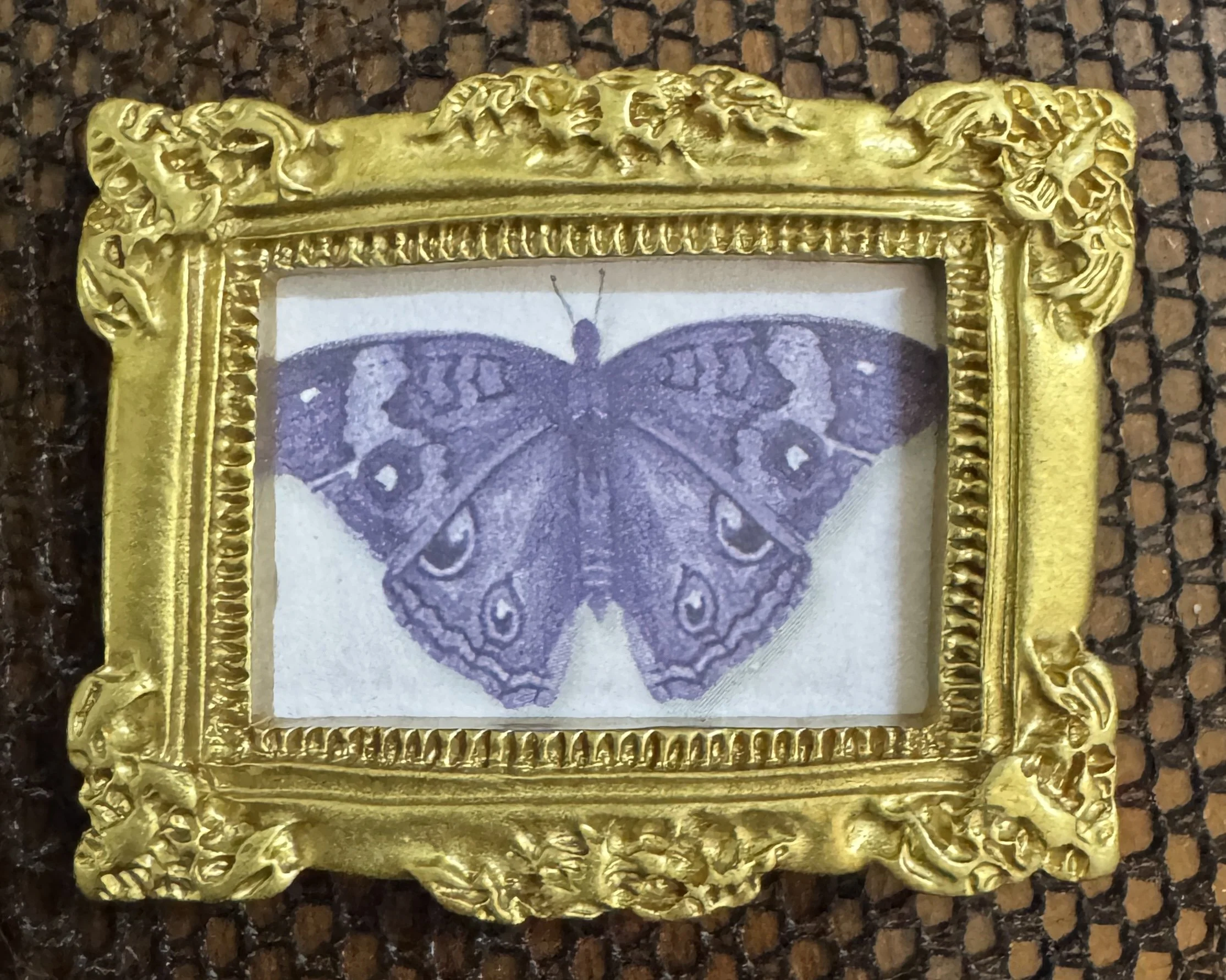 2026 - Butterfly.JPEG