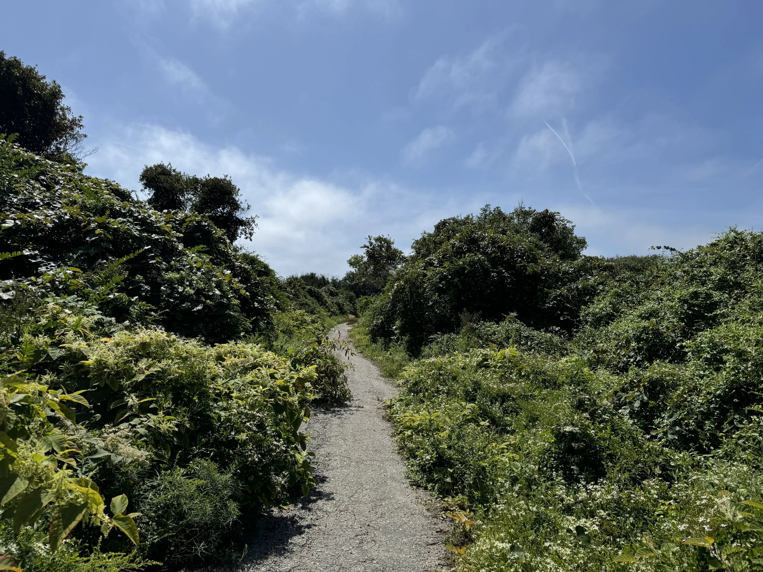 08-31-24 - Black Point Ruins - Path 02.JPG