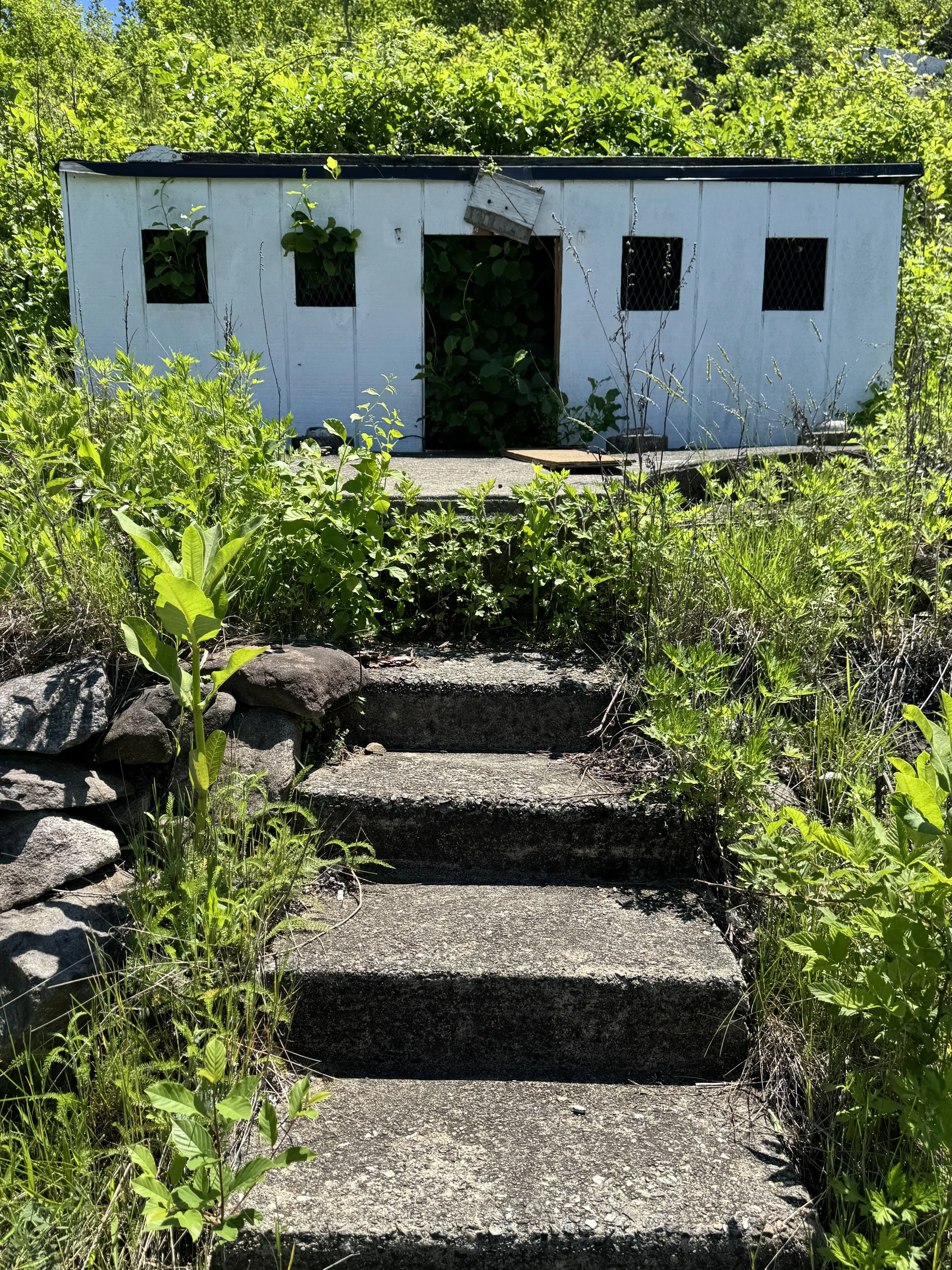 05-19-25 - Holyland 02.JPEG