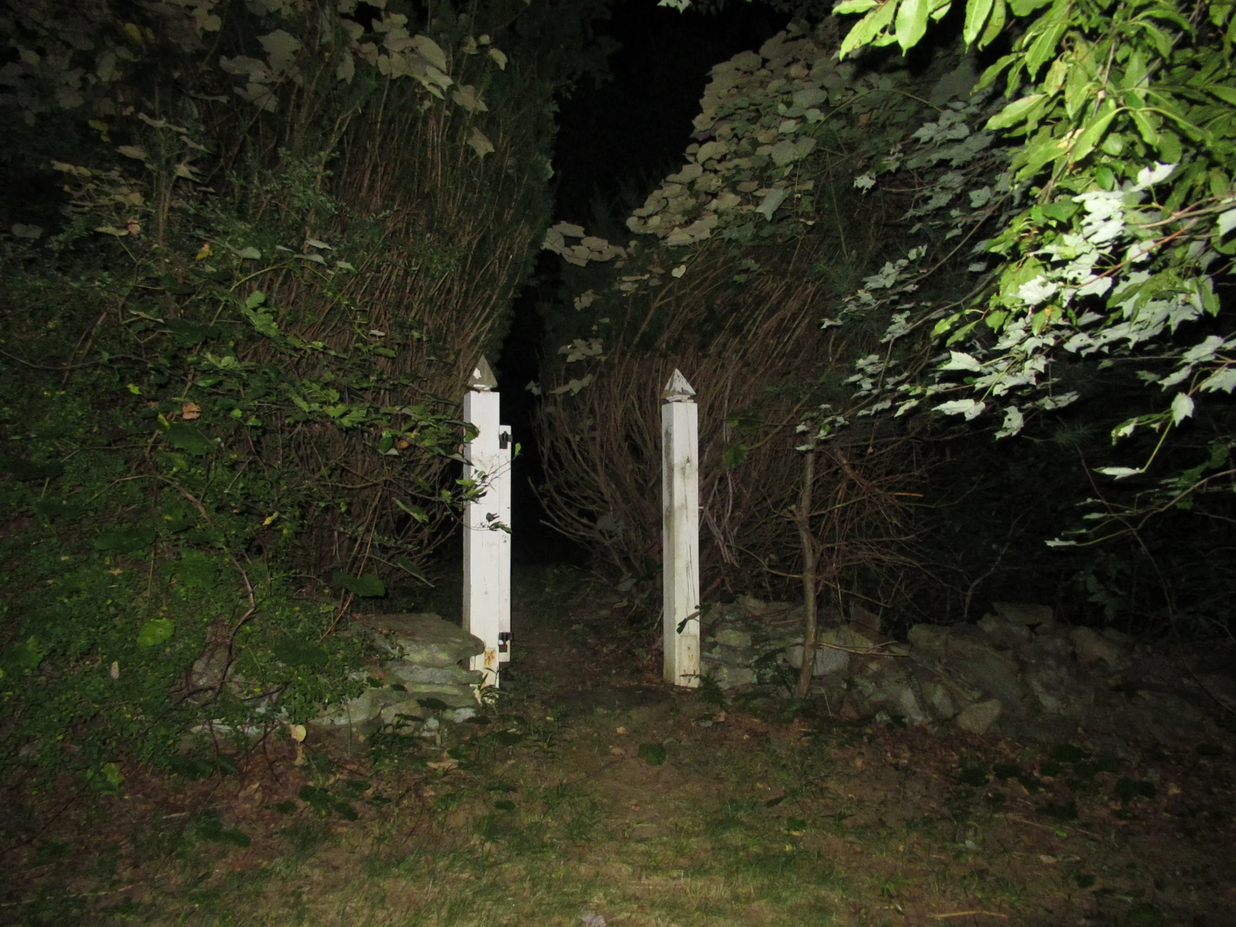 08-25-17 - Gate 01.JPG