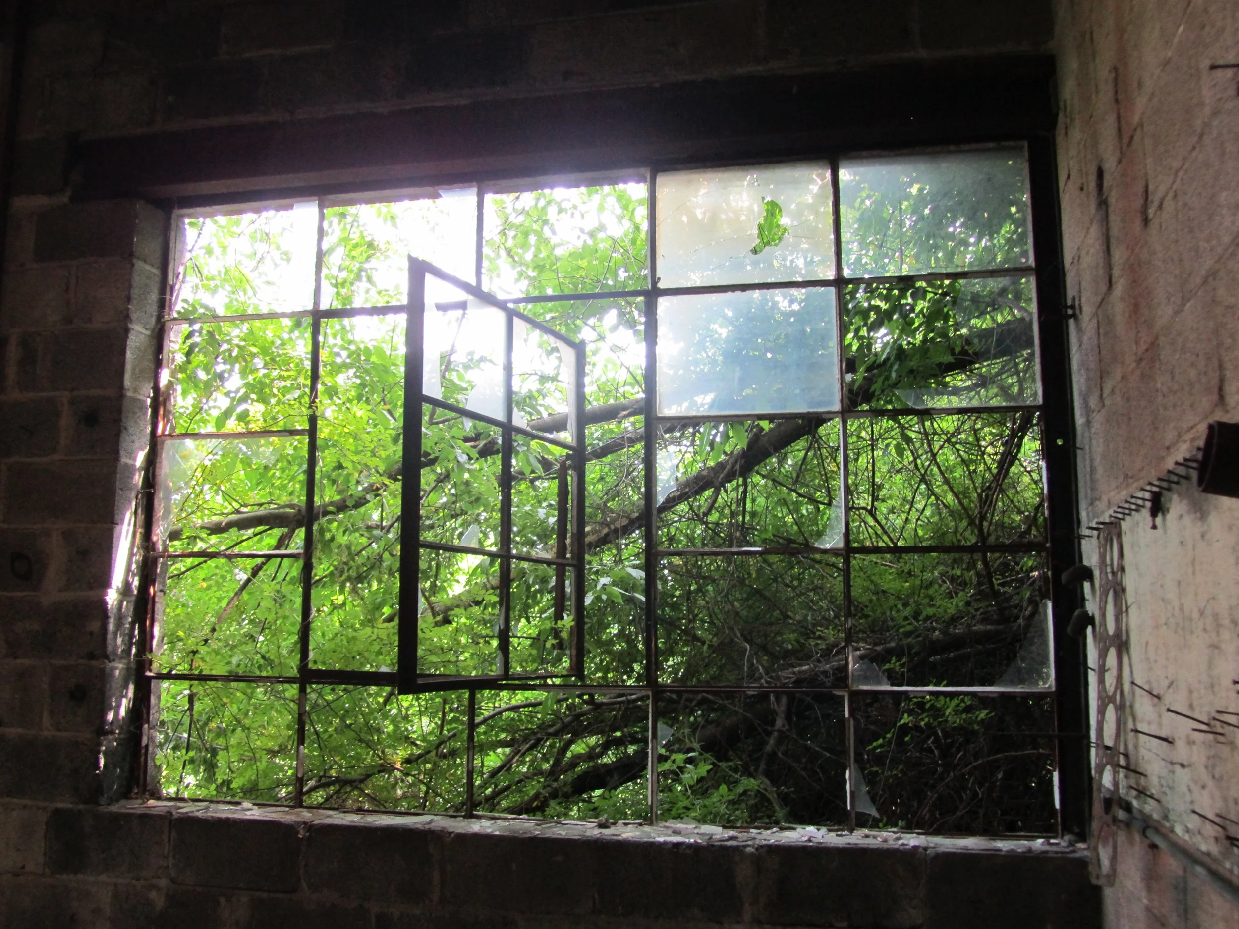 Garage - Broken Window 1.jpg