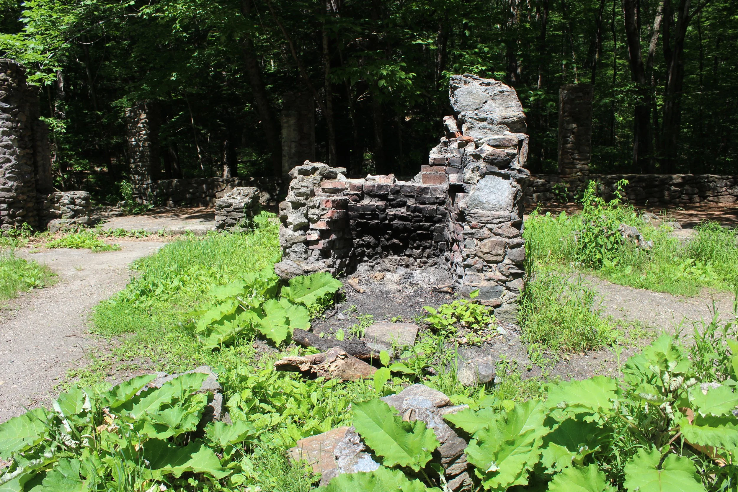 06-20-21 - House - fireplace.JPG