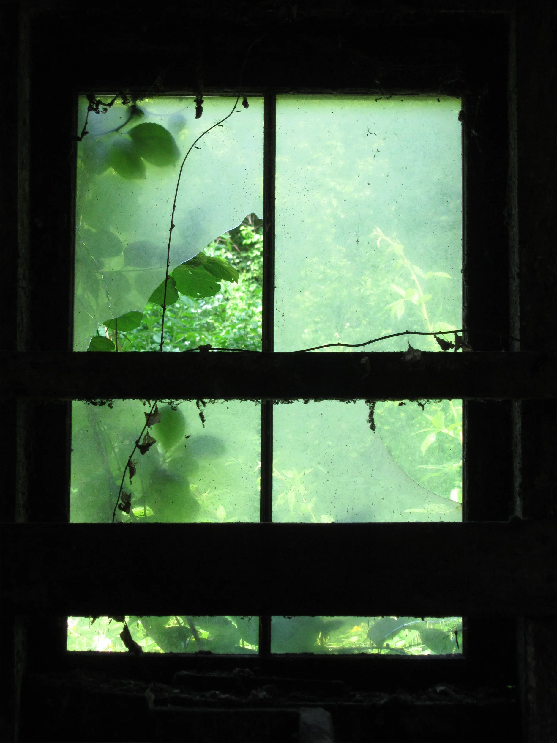 Building 1 - Window 2.jpg