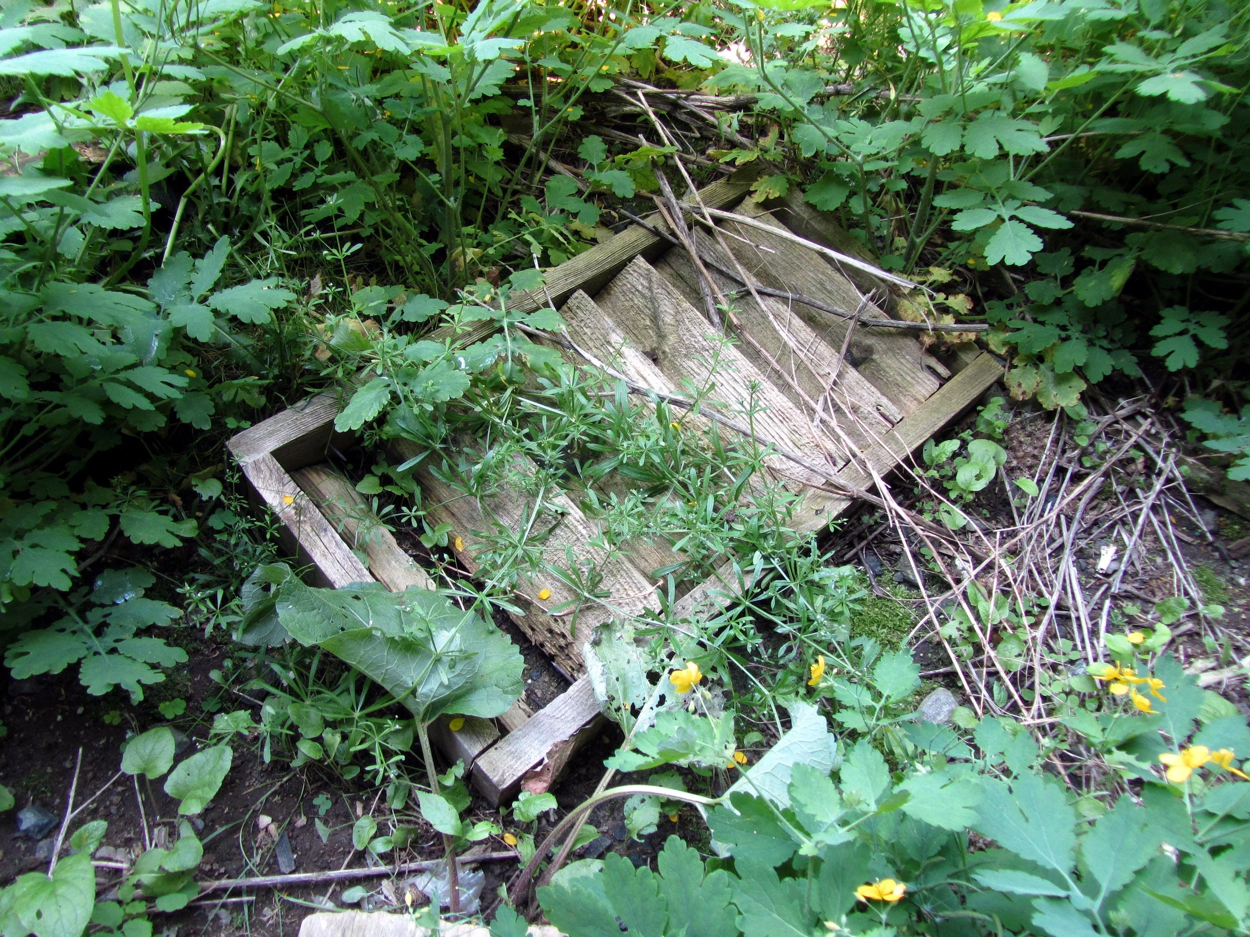 Building 1 - Exit 3.jpg