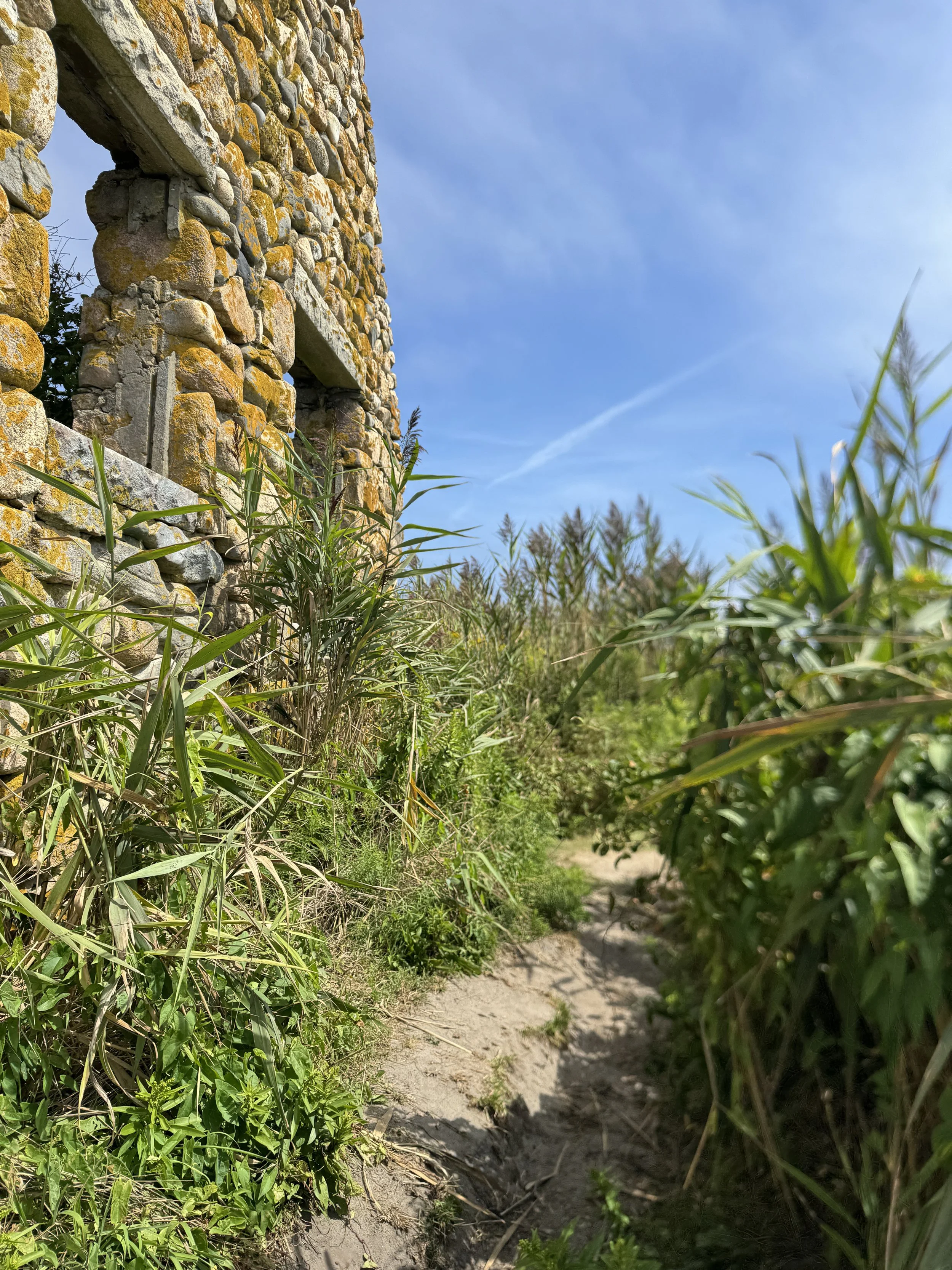 08-31-24 - Black Point Ruins 25.JPG