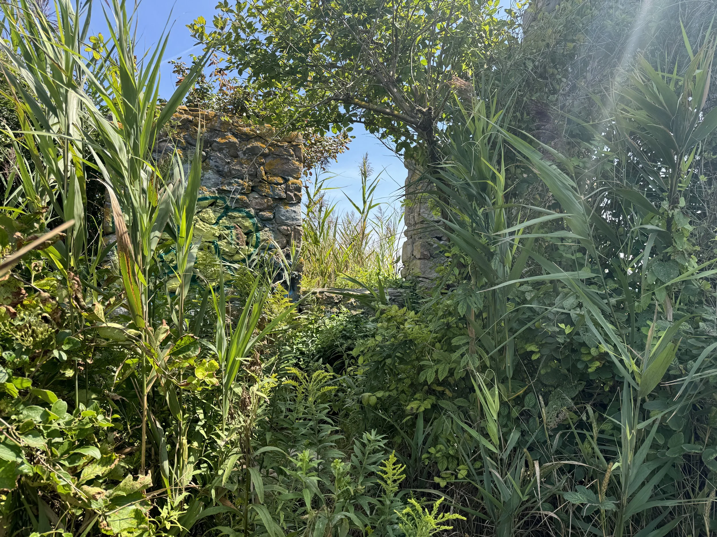 08-31-24 - Black Point Ruins 28.JPG