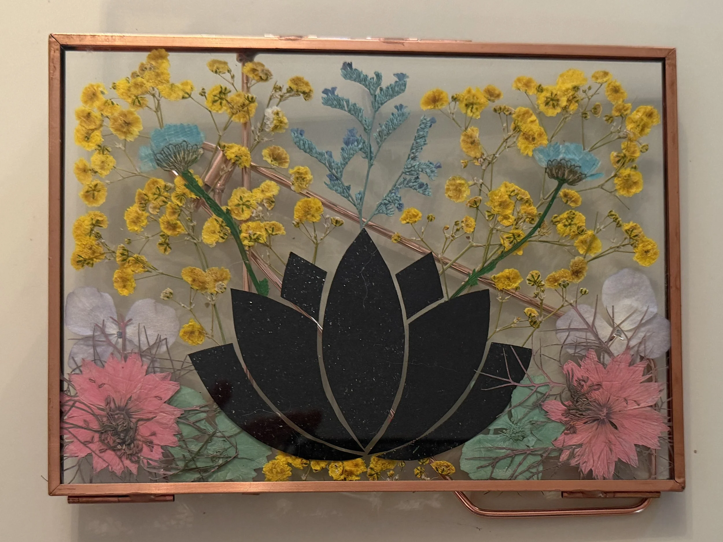 09-13-26 - Lotus 01.JPEG