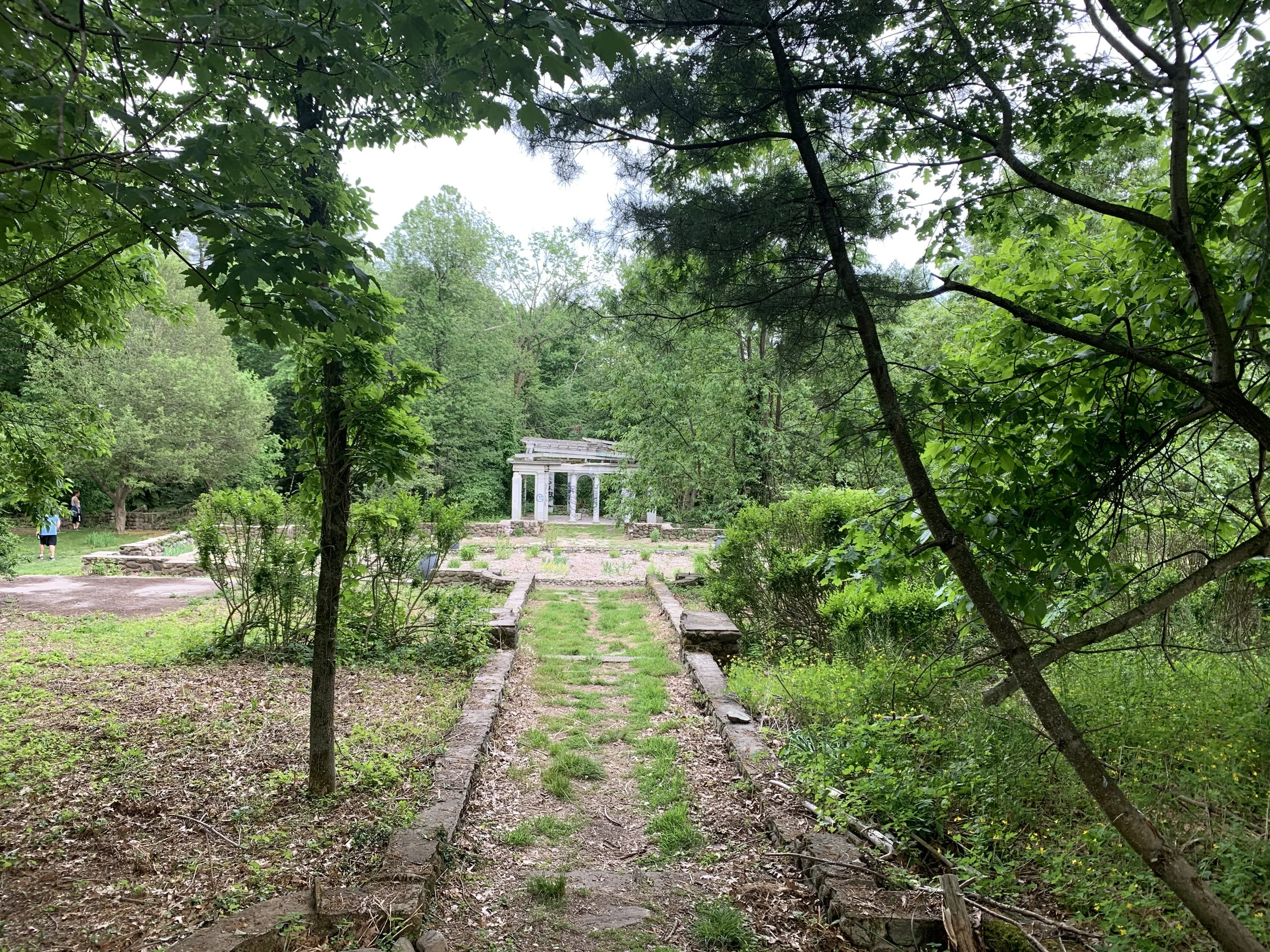 06-04-20 - remains 01.JPG