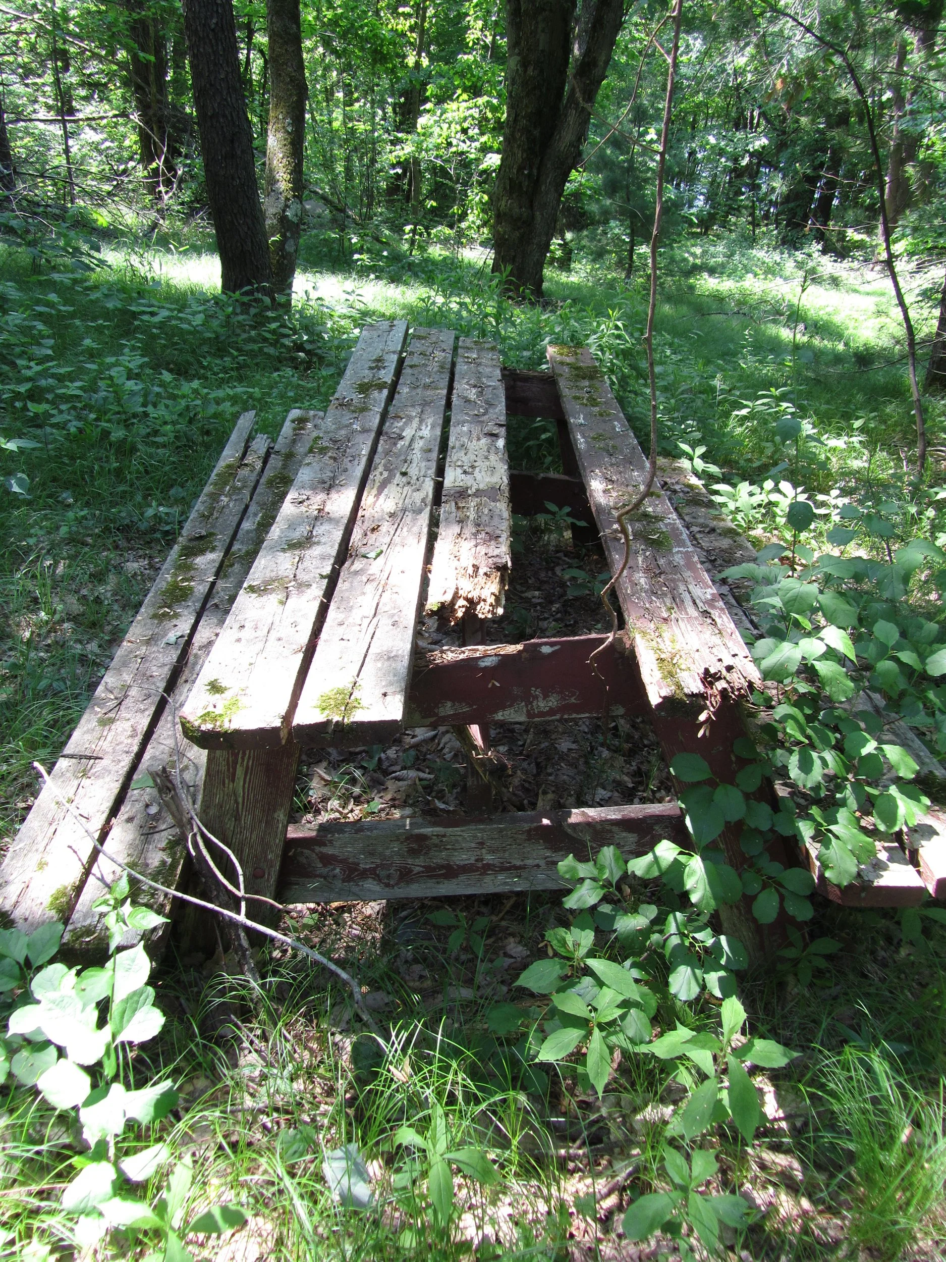 Building 2 - Picnic Tables 3.jpg