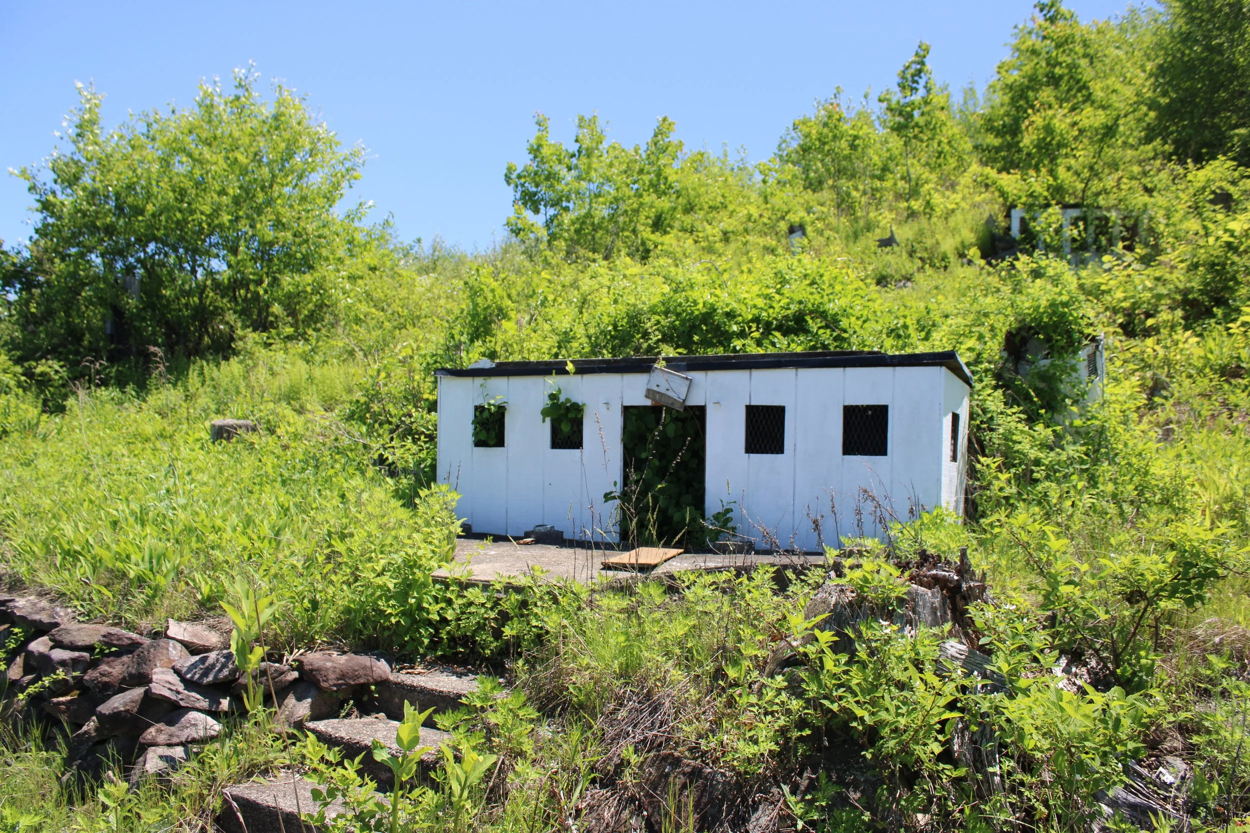 05-19-25 - Dads pics 02.JPG