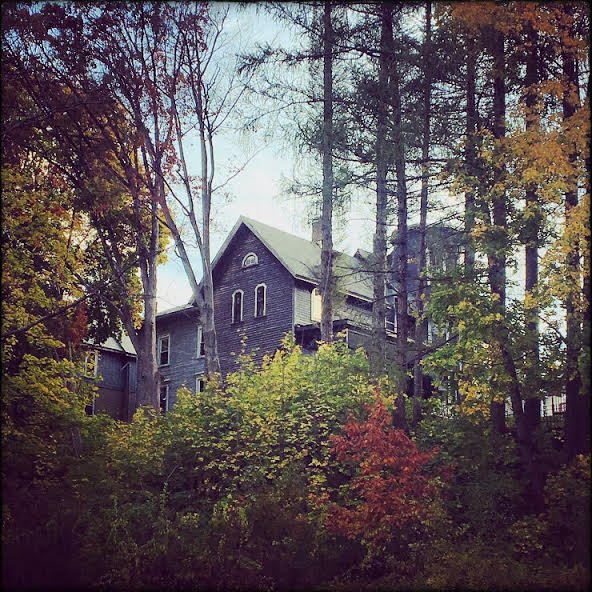 10-29-16 - Neighbors.jpg