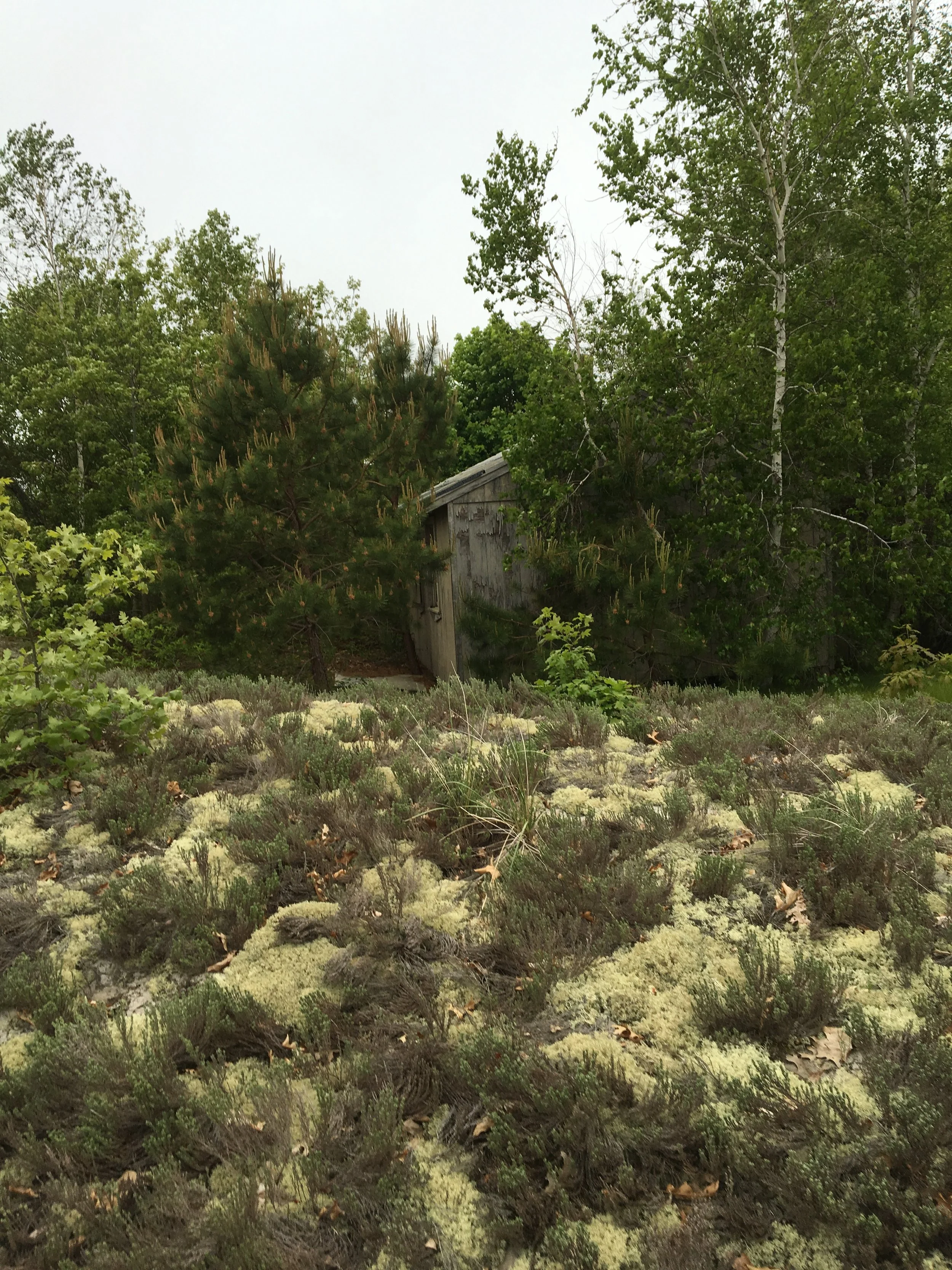 05-29-16 - Cabin 01.JPG