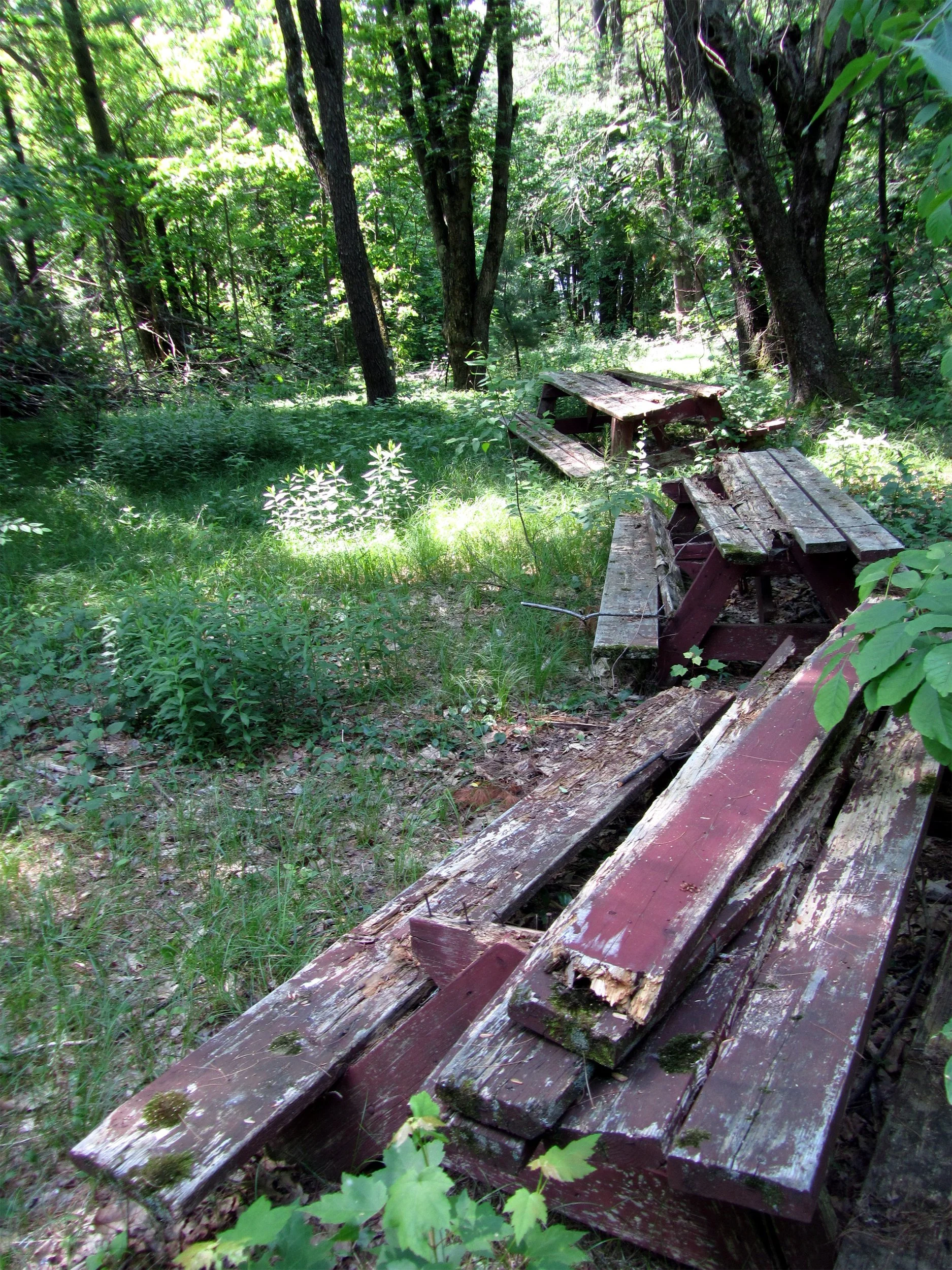 Building 2 - Picnic Tables 1.jpg