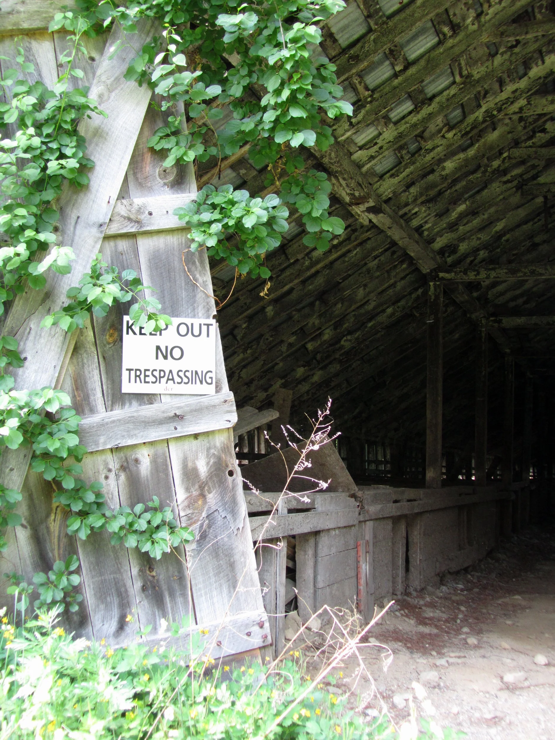 Building 1 - Entrance.jpg