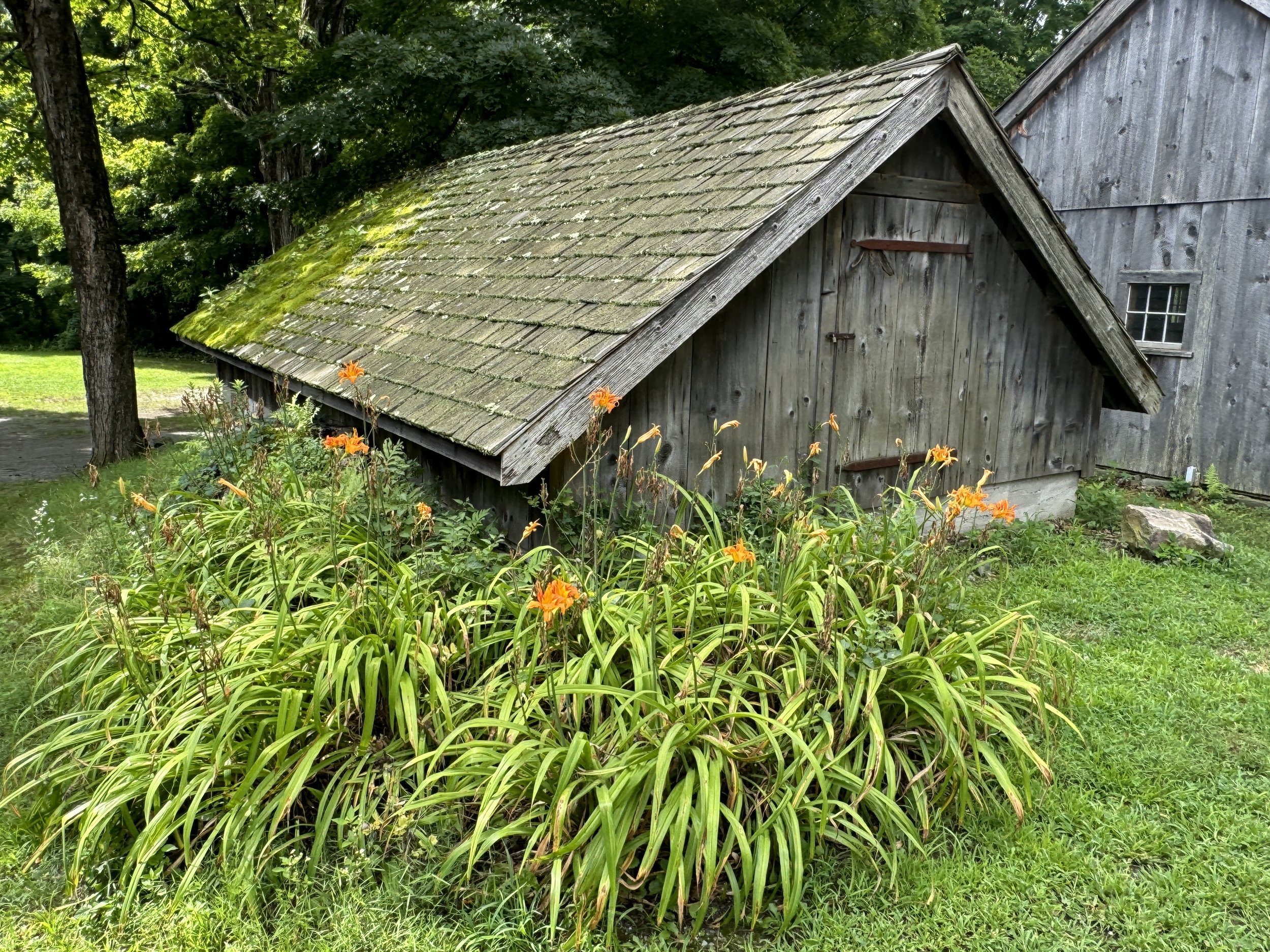 08-03-24 - Williams Barn 20.JPEG