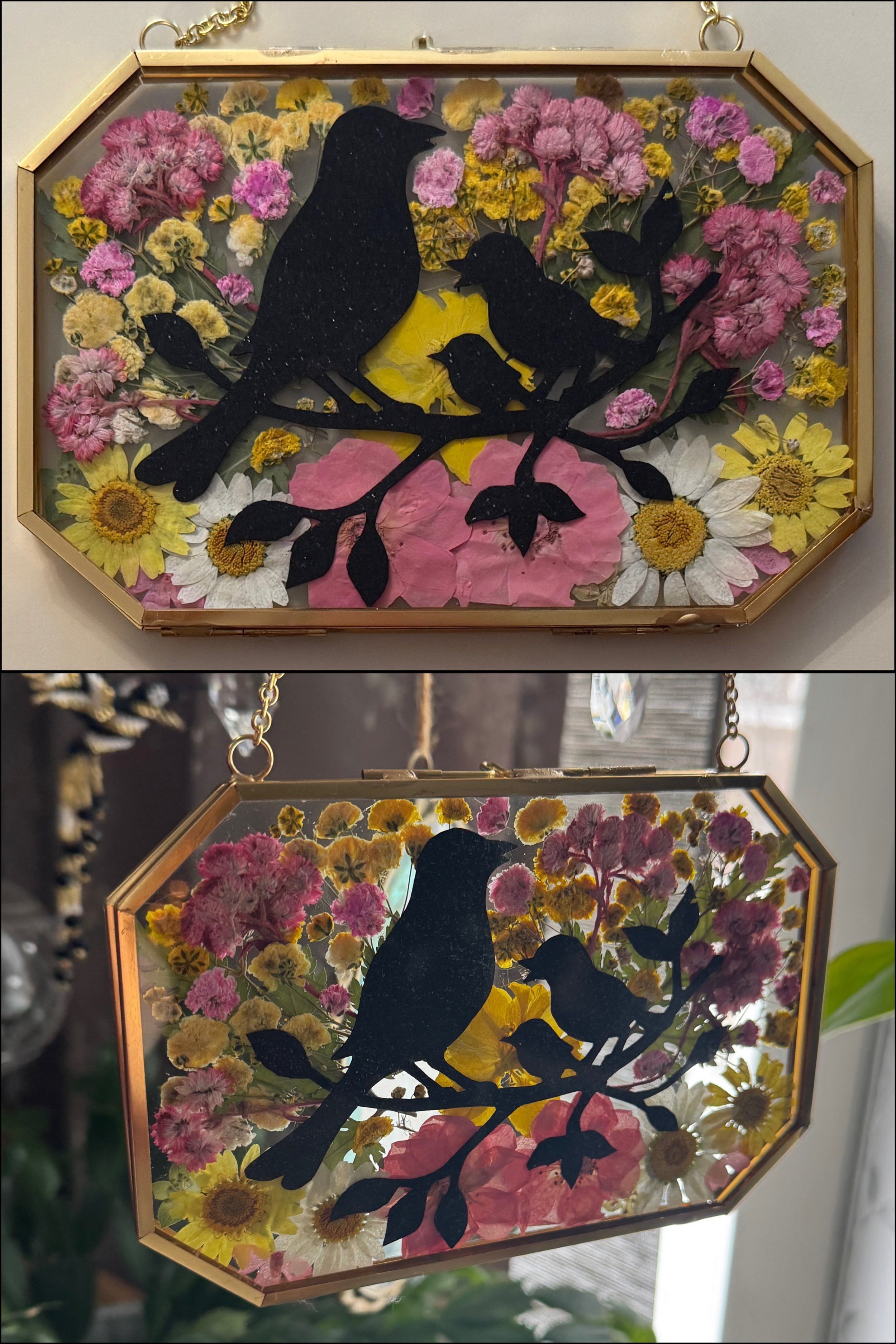 12-26-25 - Birds for Jess J 06.JPEG