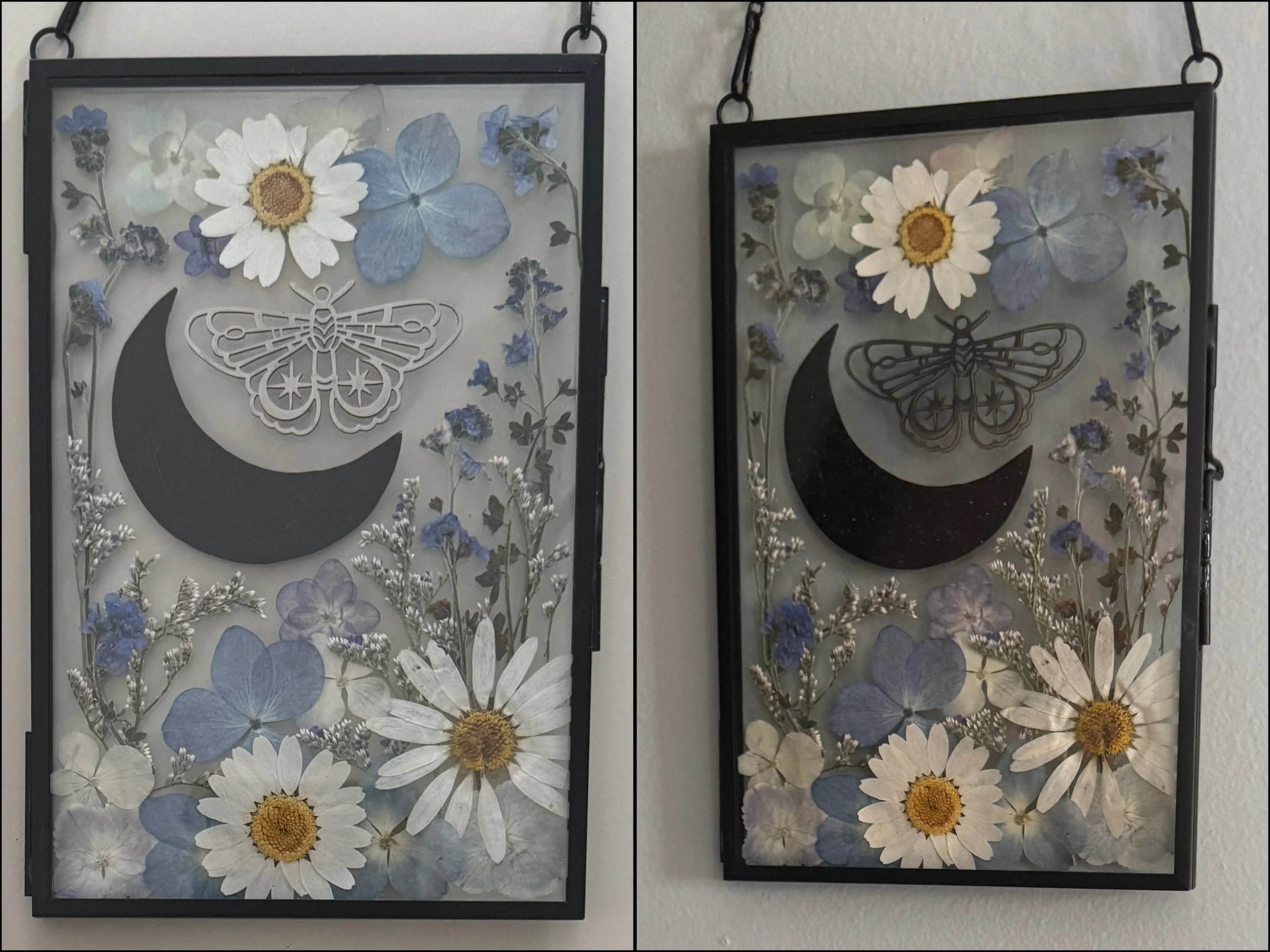 12-27-25 - Butterfly moon 08.jpeg