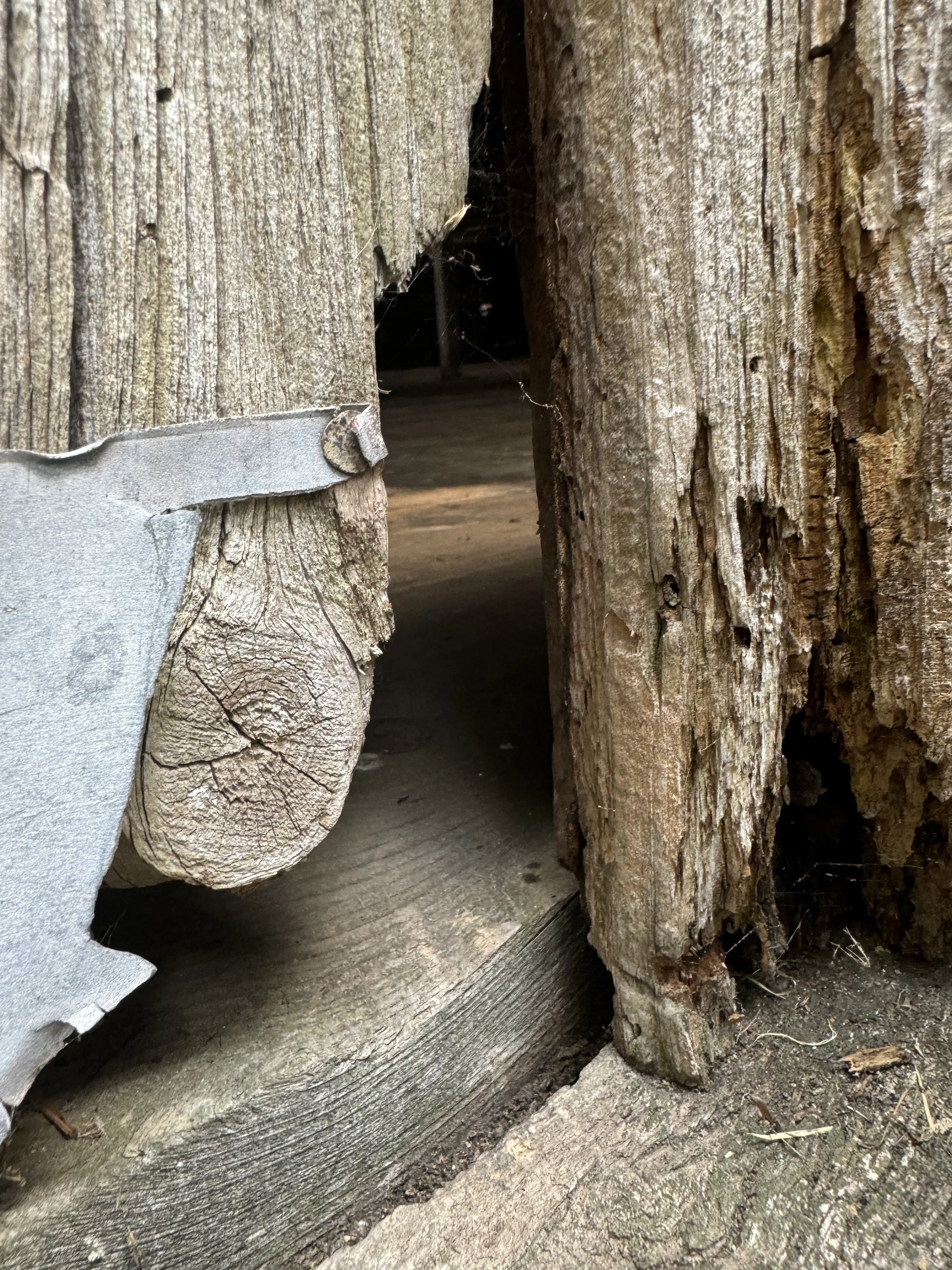 08-03-24 - Williams Barn 36.JPEG