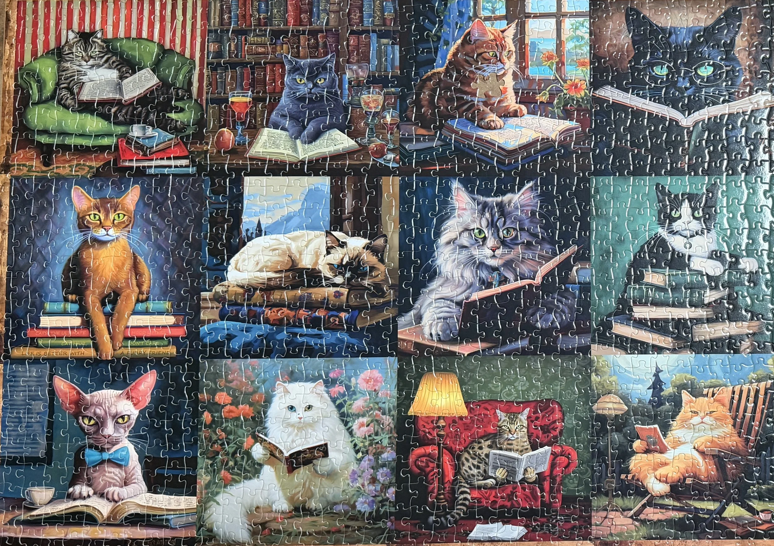 2026-09-03 - Cats Reading.JPEG