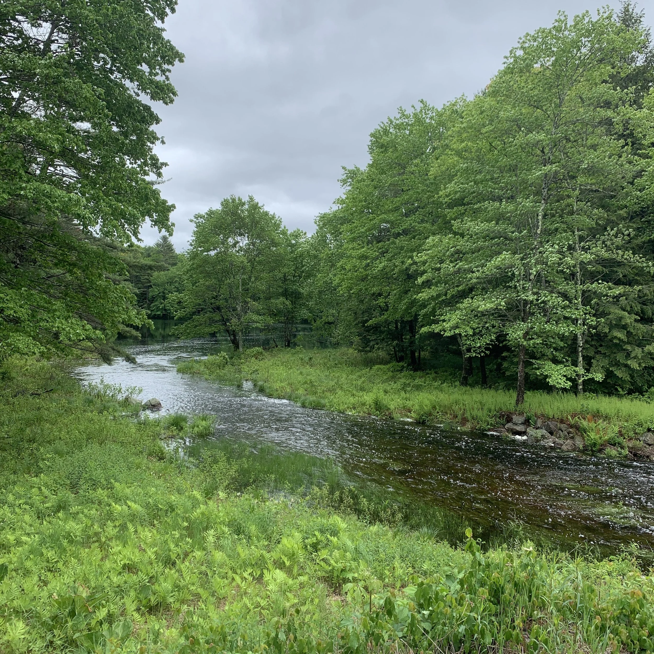 05-31-21 - river 01.JPG