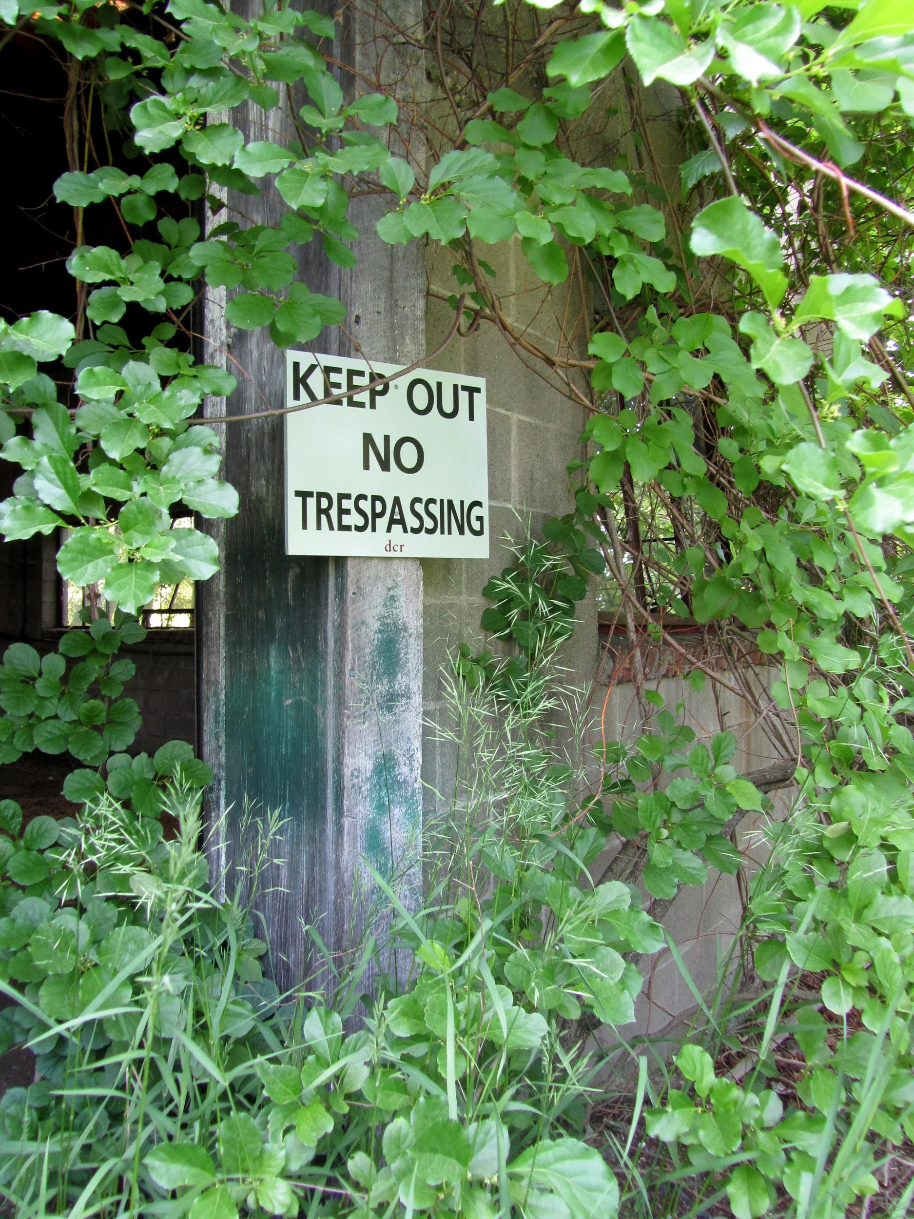 Garage - Outside 2.jpg