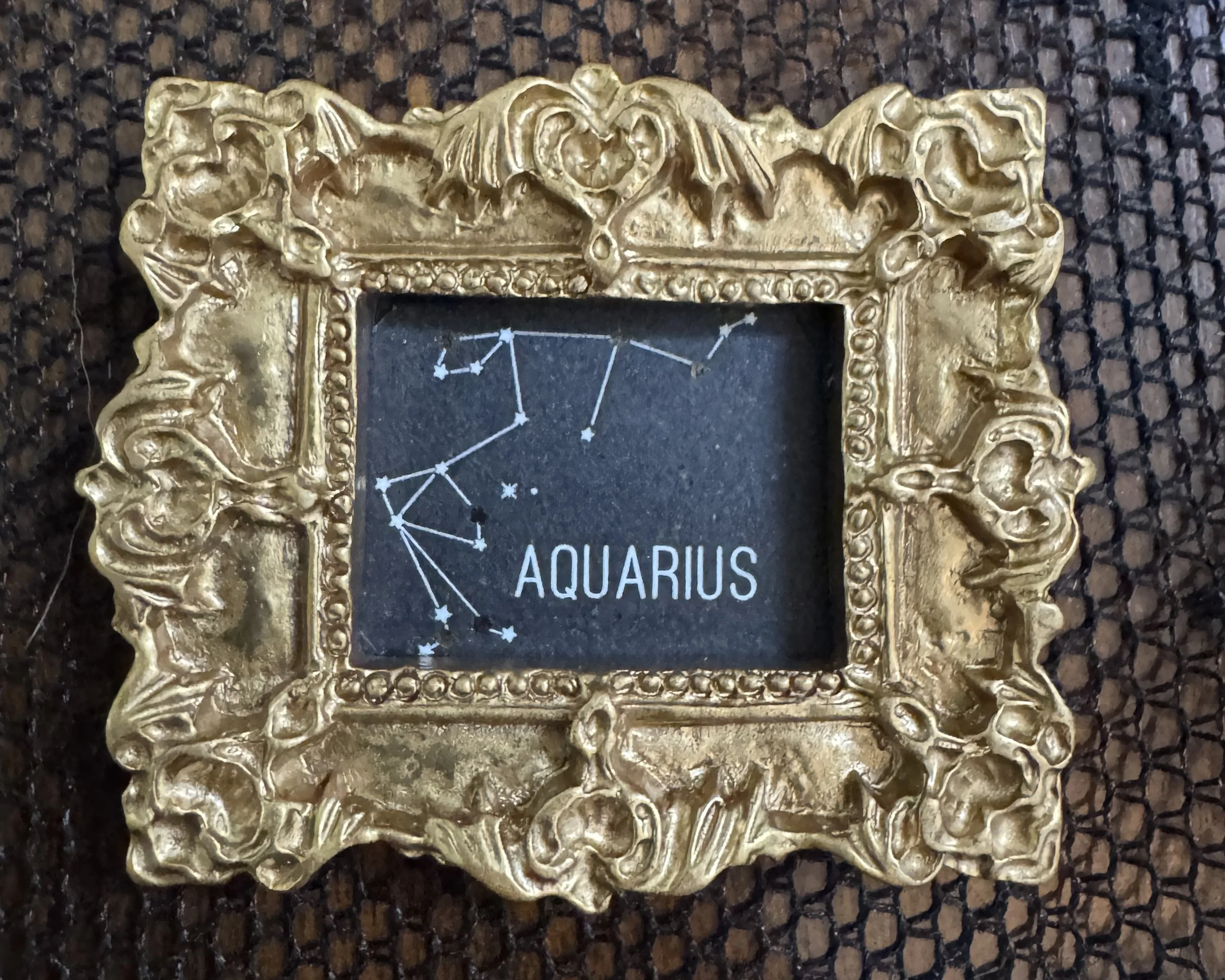 2026 - Aquarius.JPEG