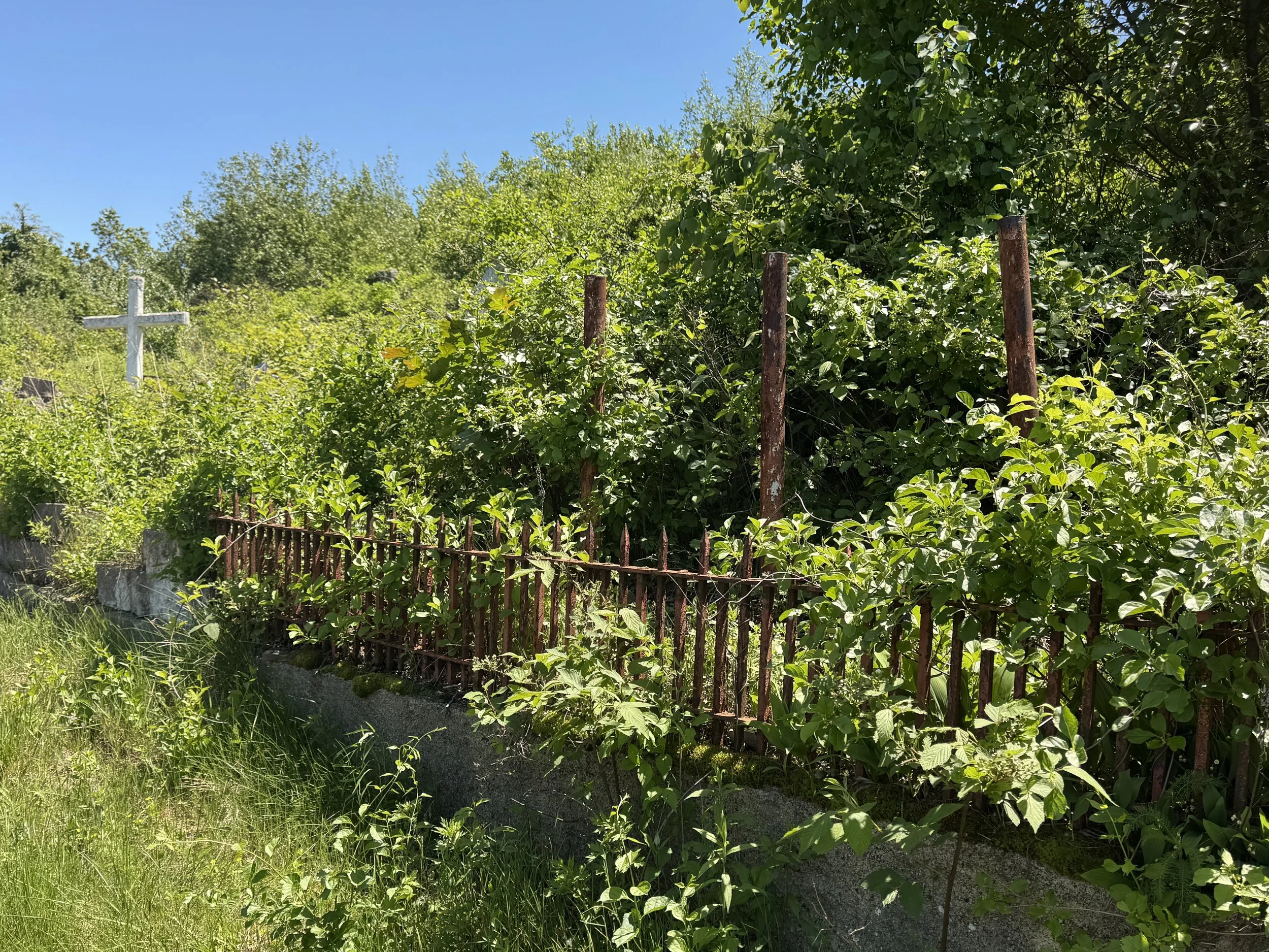 05-19-25 - Holyland 68.JPEG