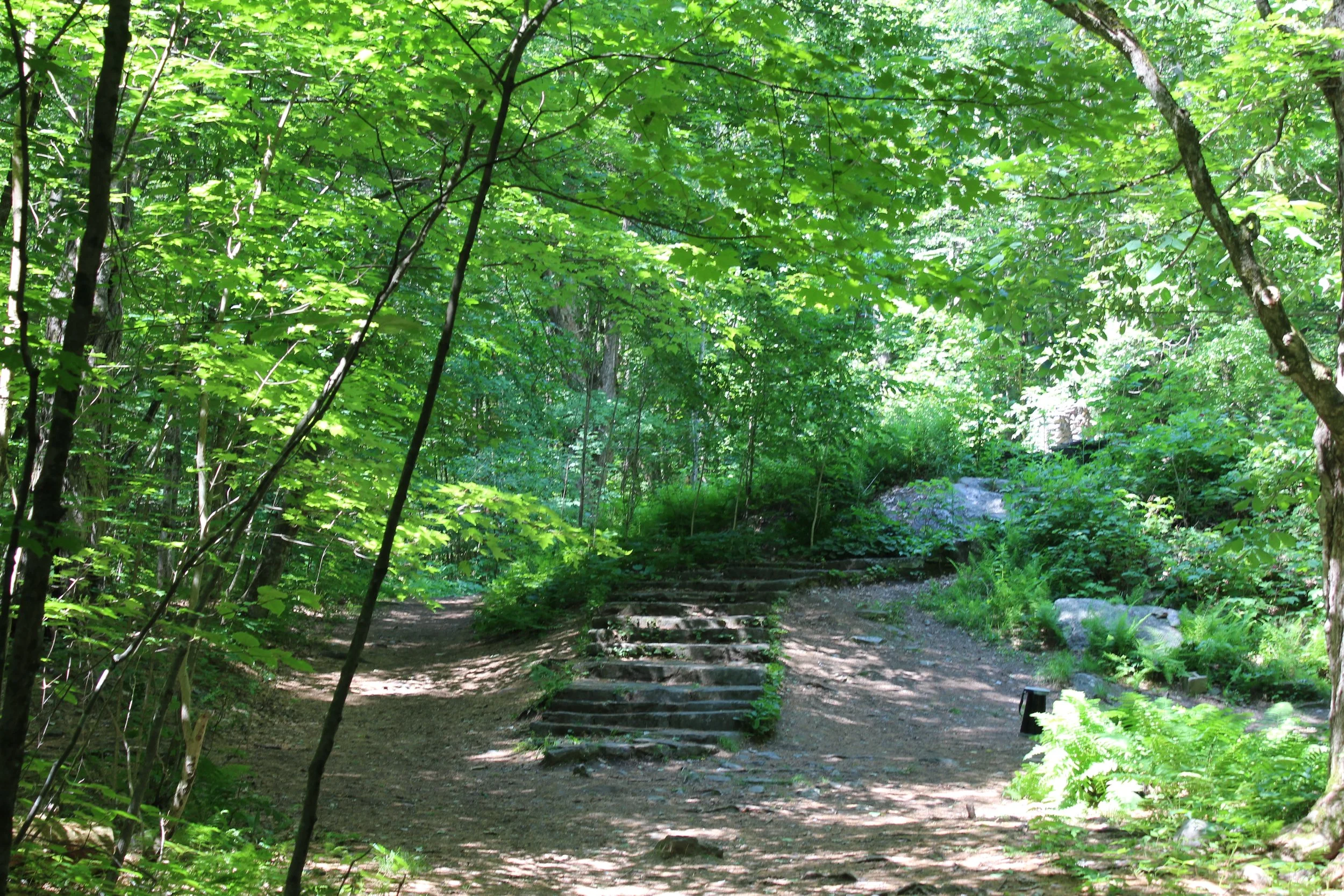 06-20-21 - Stairs 01.JPG