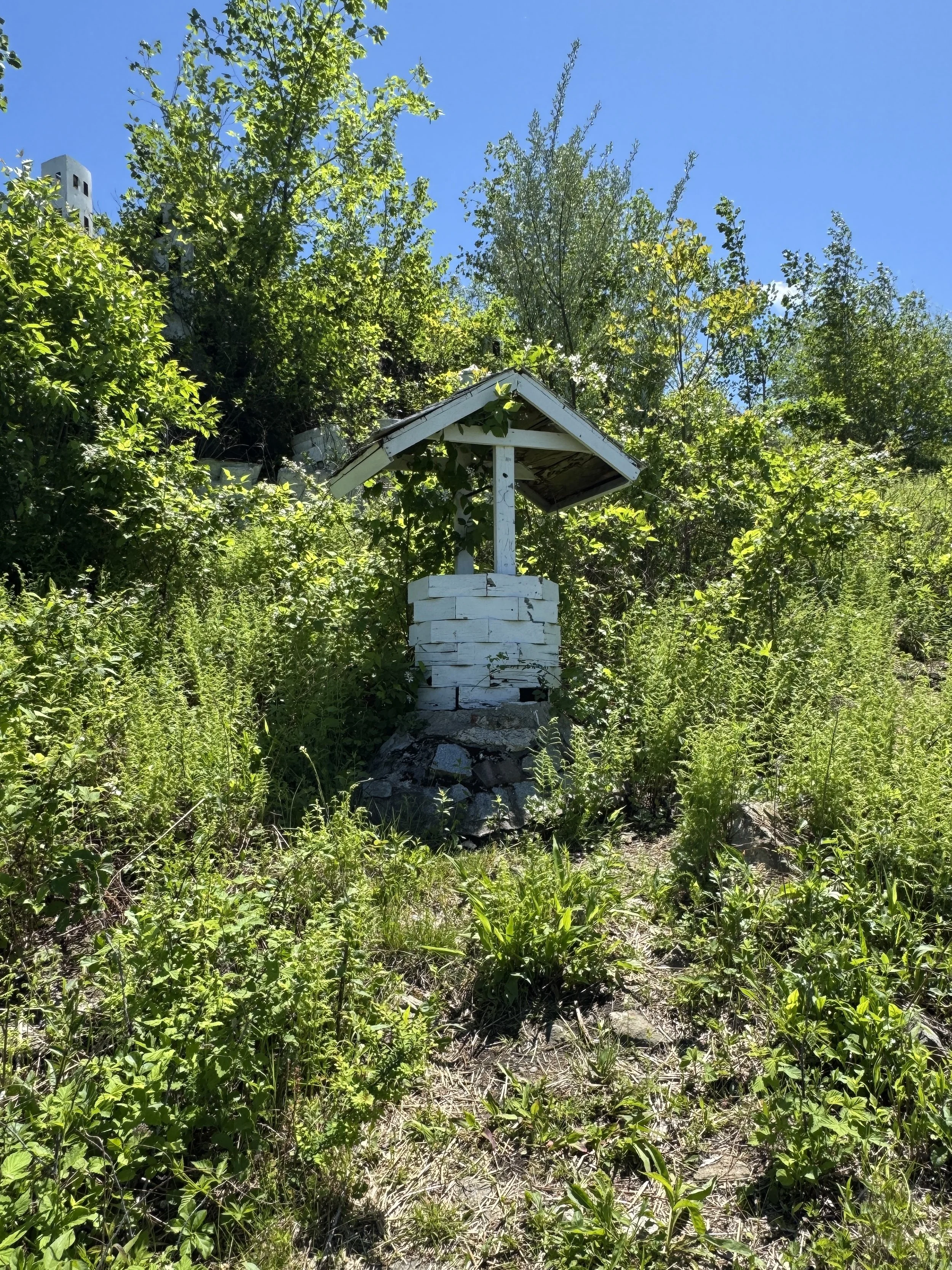 05-19-25 - Holyland 25.JPEG