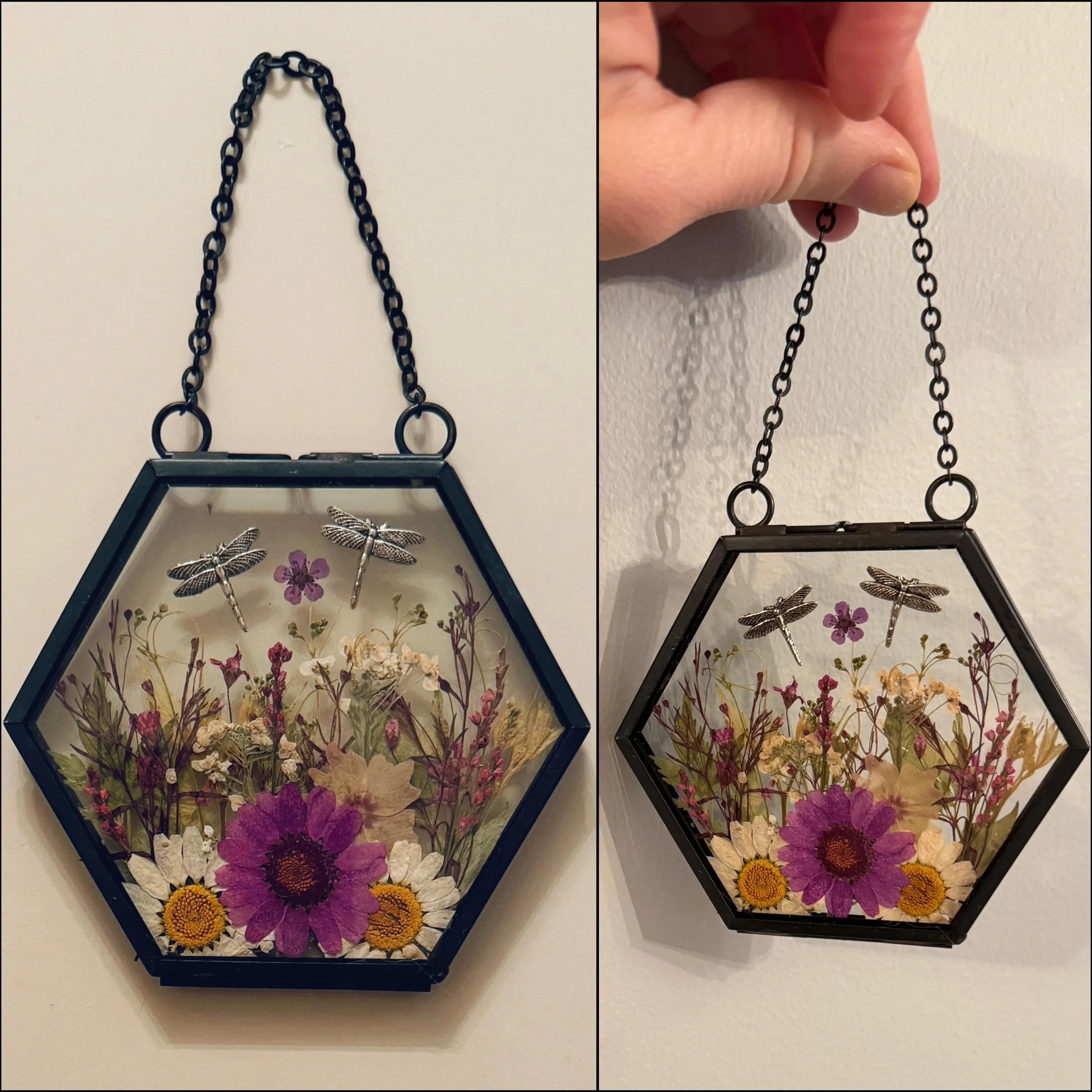 12-15-25 - Katie 06.JPEG